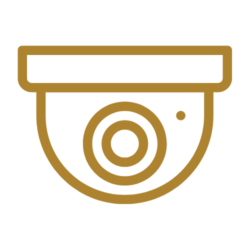 security camera.png