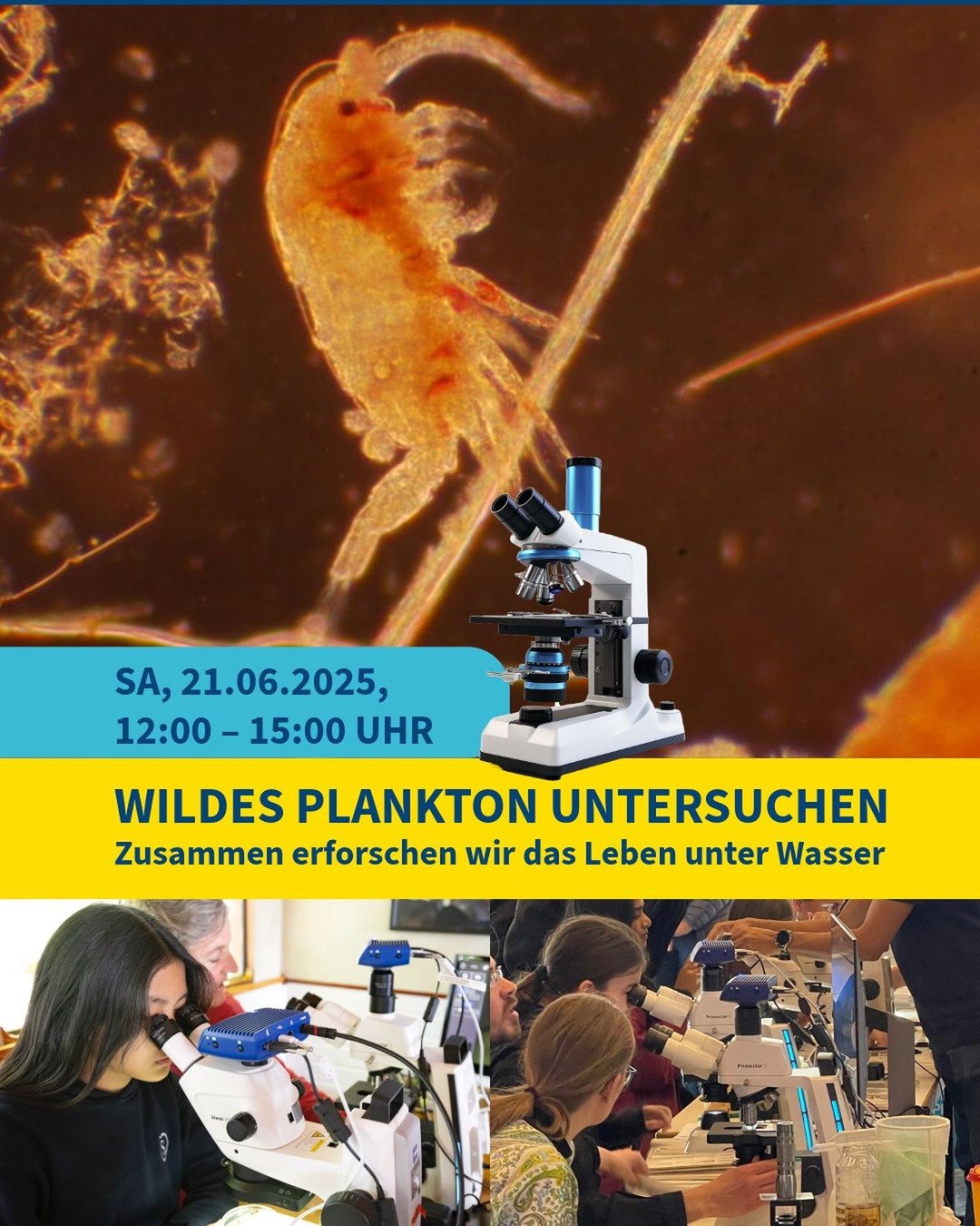 Heute ist der Lange Tag der Stadtnatur.

Wir laden euch herzlich ein, am Mikroskopier-Workshop der Deutschen Meeresstiftung in der Botschaft der Wildtiere teilzunehmen! Entdeckt das faszinierende Leben des Planktons und erfahrt, wie entscheidend dies
