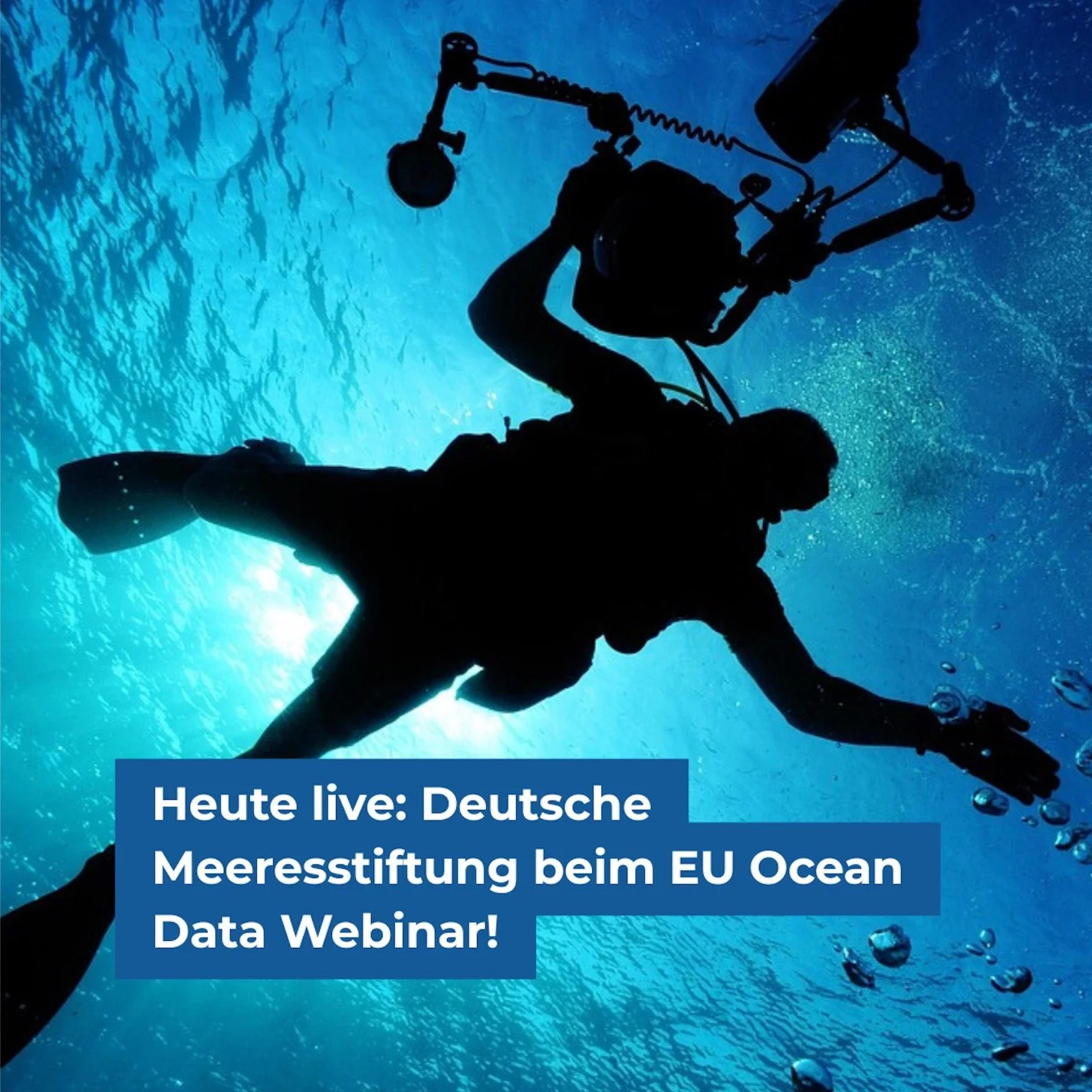 Das Webinar &bdquo;Data for the UN Ocean Decade &ndash; A European Focus&ldquo; bringt f&uuml;hrende K&ouml;pfe der Meeresforschung zusammen &ndash; und die Deutsche Meeresstiftung ist mit einem spannenden Beitrag vertreten! 

Thema des Beitrags:
&bd