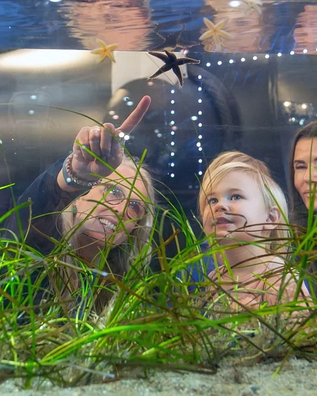 Last Call: we are still looking for exhibitors for Love Your Ocean at boot D&uuml;sseldorf!

Organizations, innovators and ocean enthusiasts are invited to join us and become part of the Love Your Ocean initiative. If you would like to present an exh