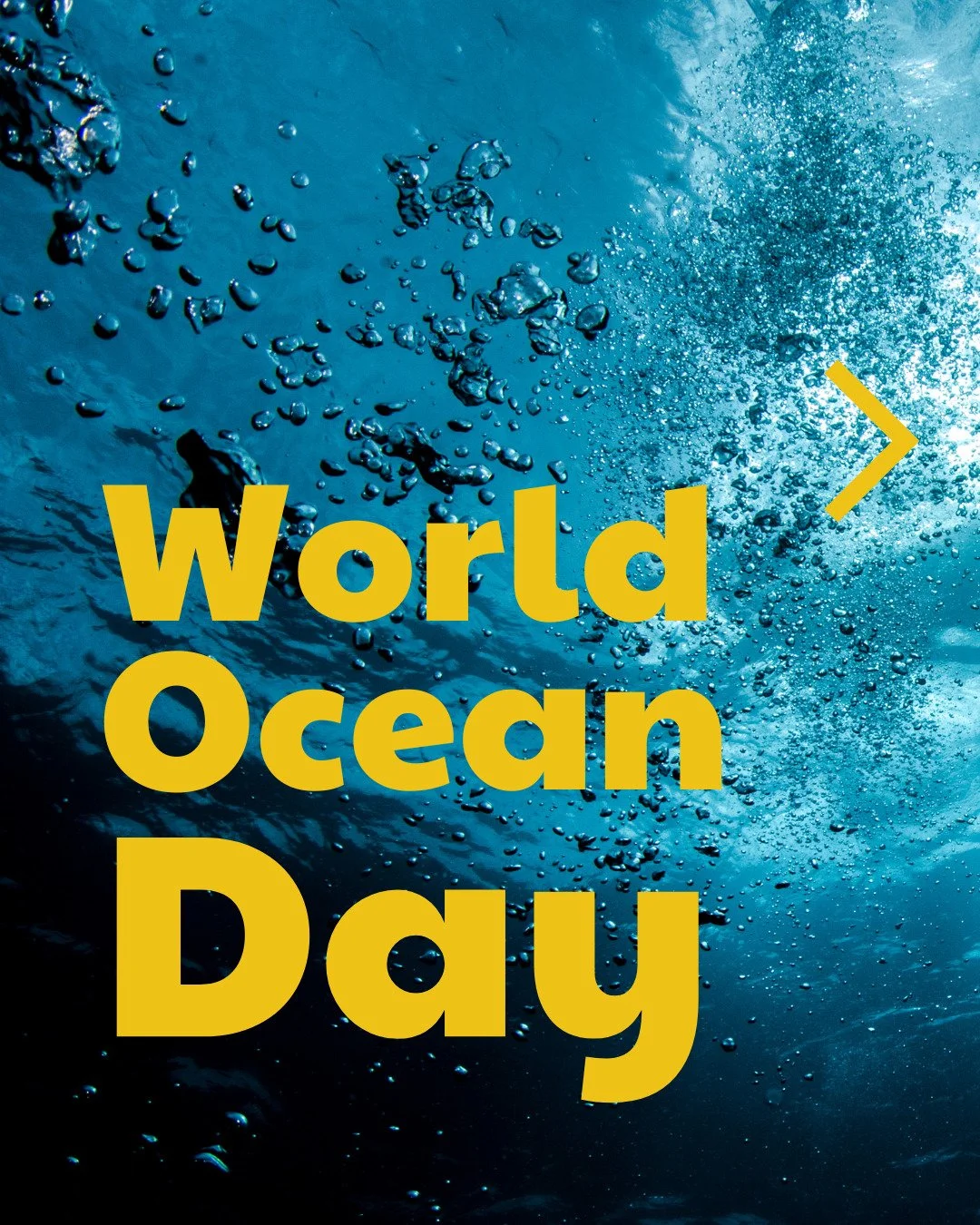 🌊 World Ocean Day 2026 🌍
Der Ozean ist der gr&ouml;&szlig;te Lebensraum unseres Planeten &ndash; und doch wird seine Bedeutung oft untersch&auml;tzt. Er reguliert unser Klima, liefert uns jeden zweiten Atemzug und ist die Grundlage f&uuml;r Ern&aum