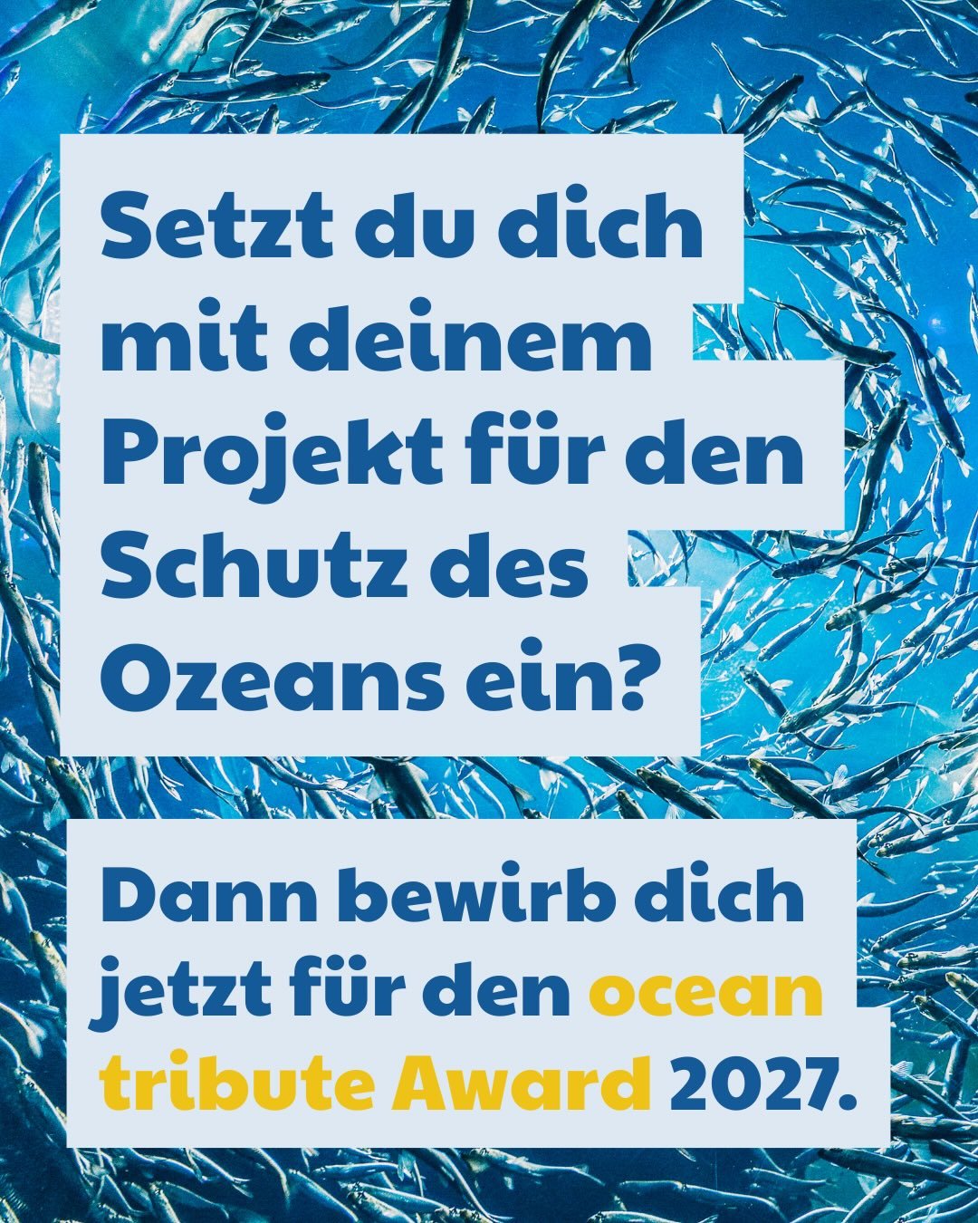 🌊 Ocean Tribute Award 2027 - Die Bewerbungsphase ist gestartet!

Du setzt dich mit deinem Projekt f&uuml;r den Schutz des Ozeans ein? Dann ist jetzt deine Chance: Der Ocean Tribute Award geht in die n&auml;chste Runde!

Gemeinsam mit der boot D&uuml