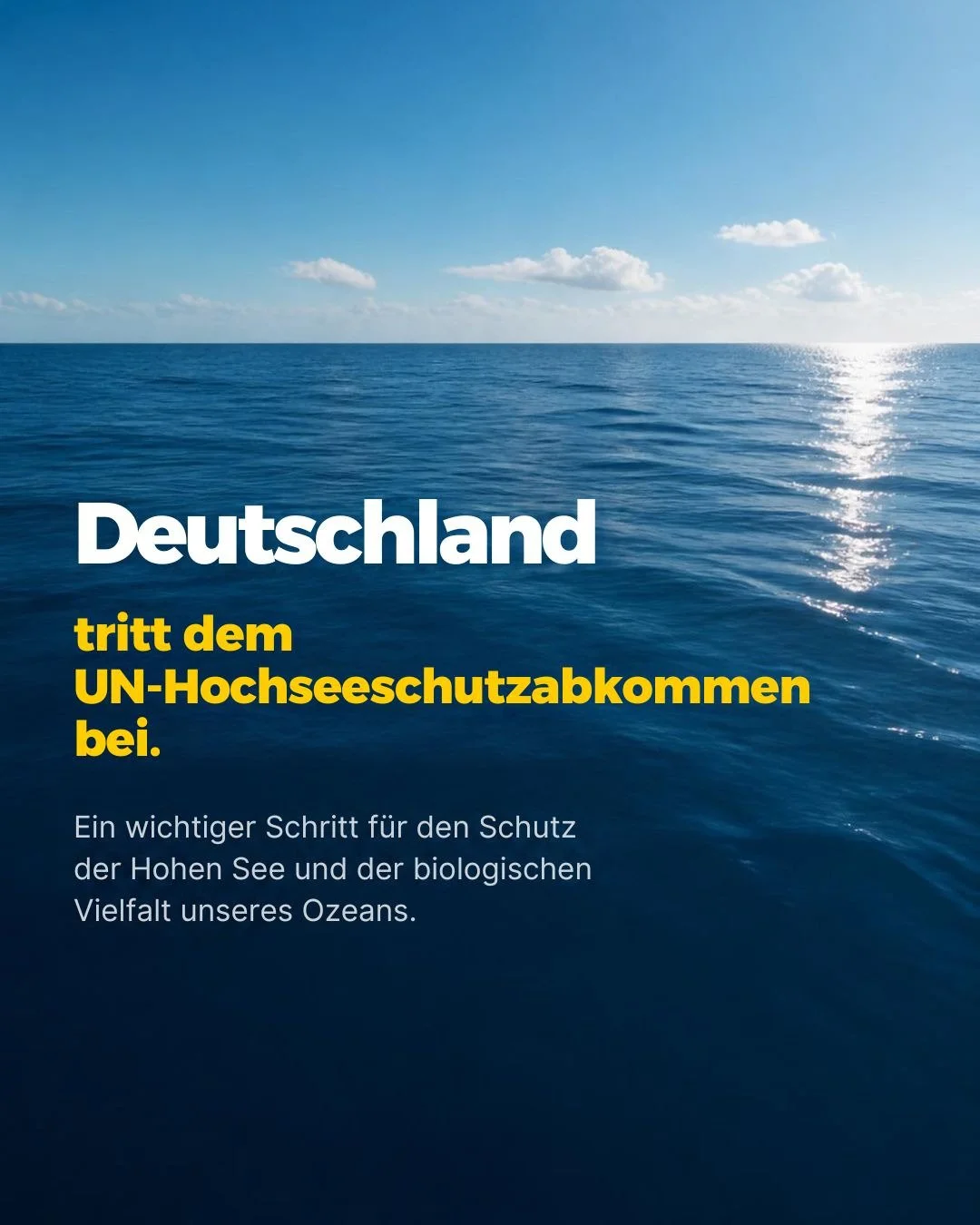 🌊 Deutschland tritt dem UN-Hochseeschutzabkommen bei.
Ein wichtiger Schritt f&uuml;r den Schutz der Hohen See und der biologischen Vielfalt unseres Ozeans.

Die Hohe See bedeckt rund die H&auml;lfte unseres Planeten und geh&ouml;rt keinem einzelnen 