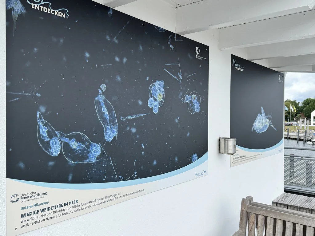 20261016_DMS_Meer_FotoAusstellungNiendorf_Mikroskopie (2)
