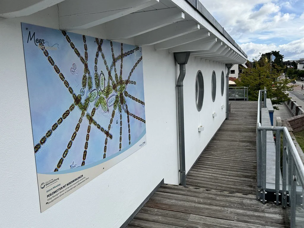 20261016_DMS_Meer_FotoAusstellungNiendorf_Mikroskopie