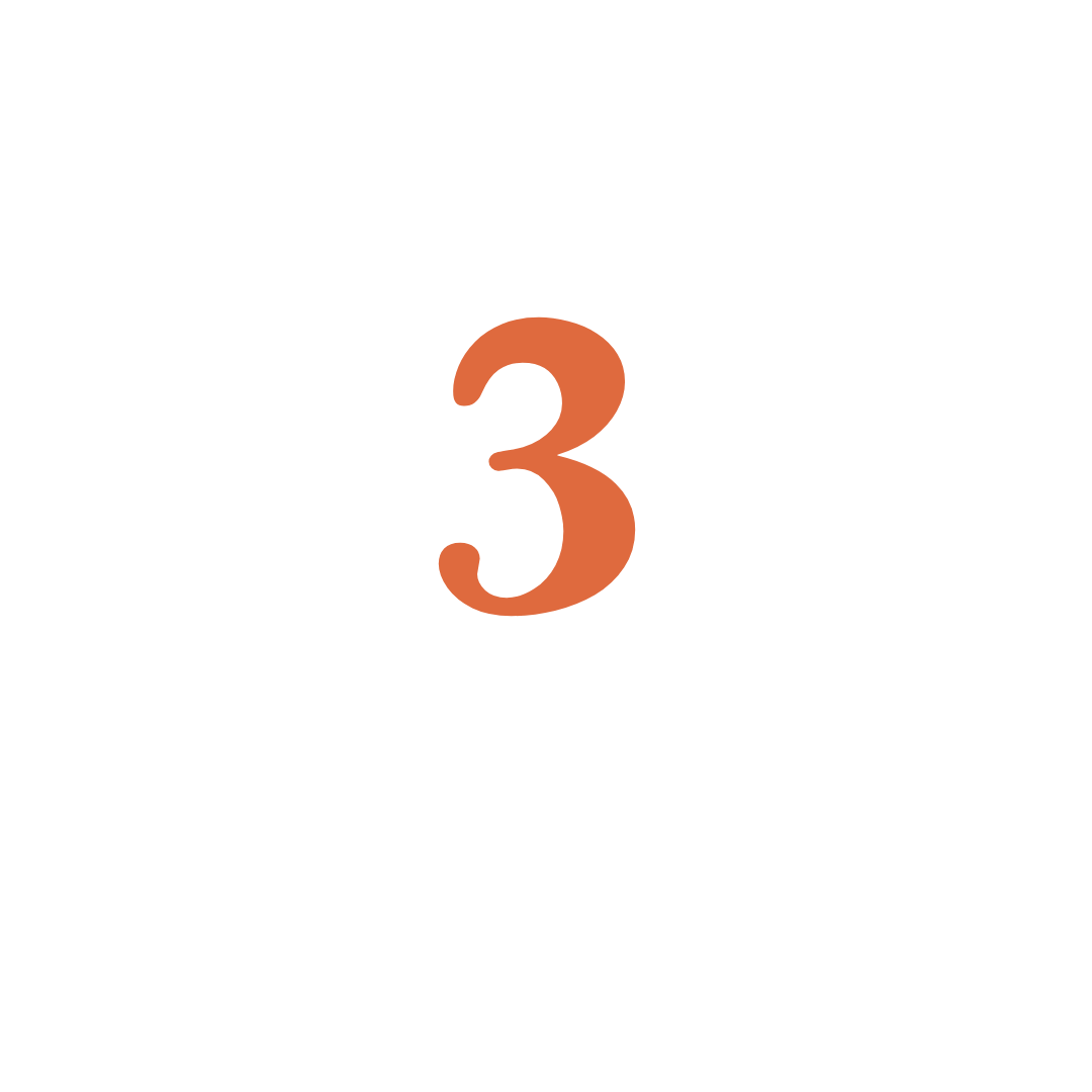 Orange 3 icon
