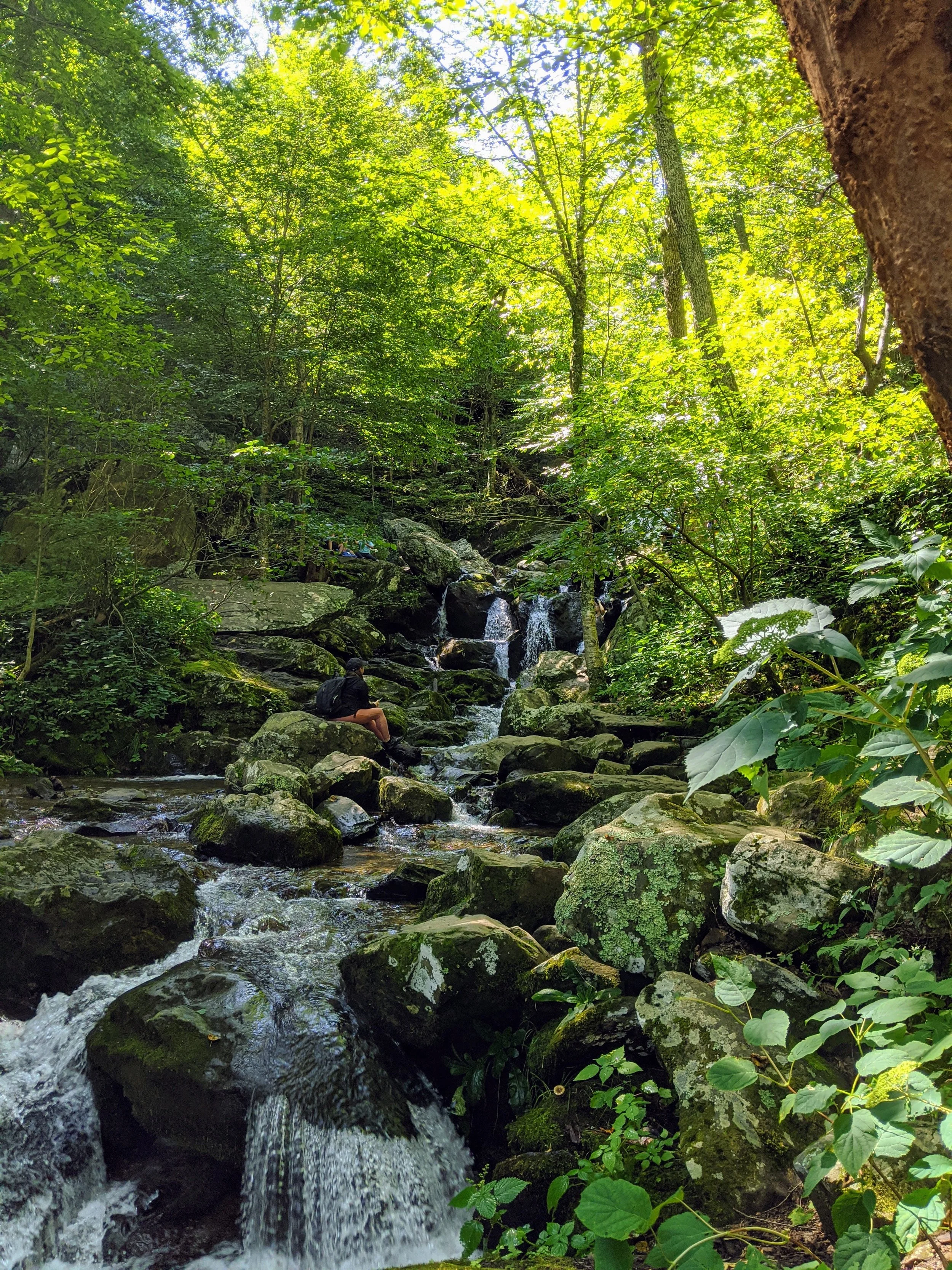A woman hiking in a waterfall in the spring, surrounded by greenery