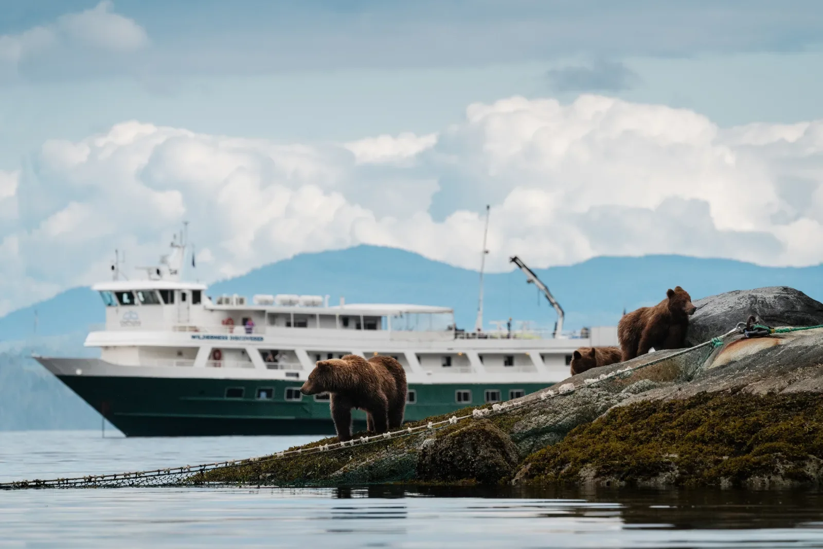 Small expedition boat exploring Alaska coastal waters with wildlife and glacier scenery