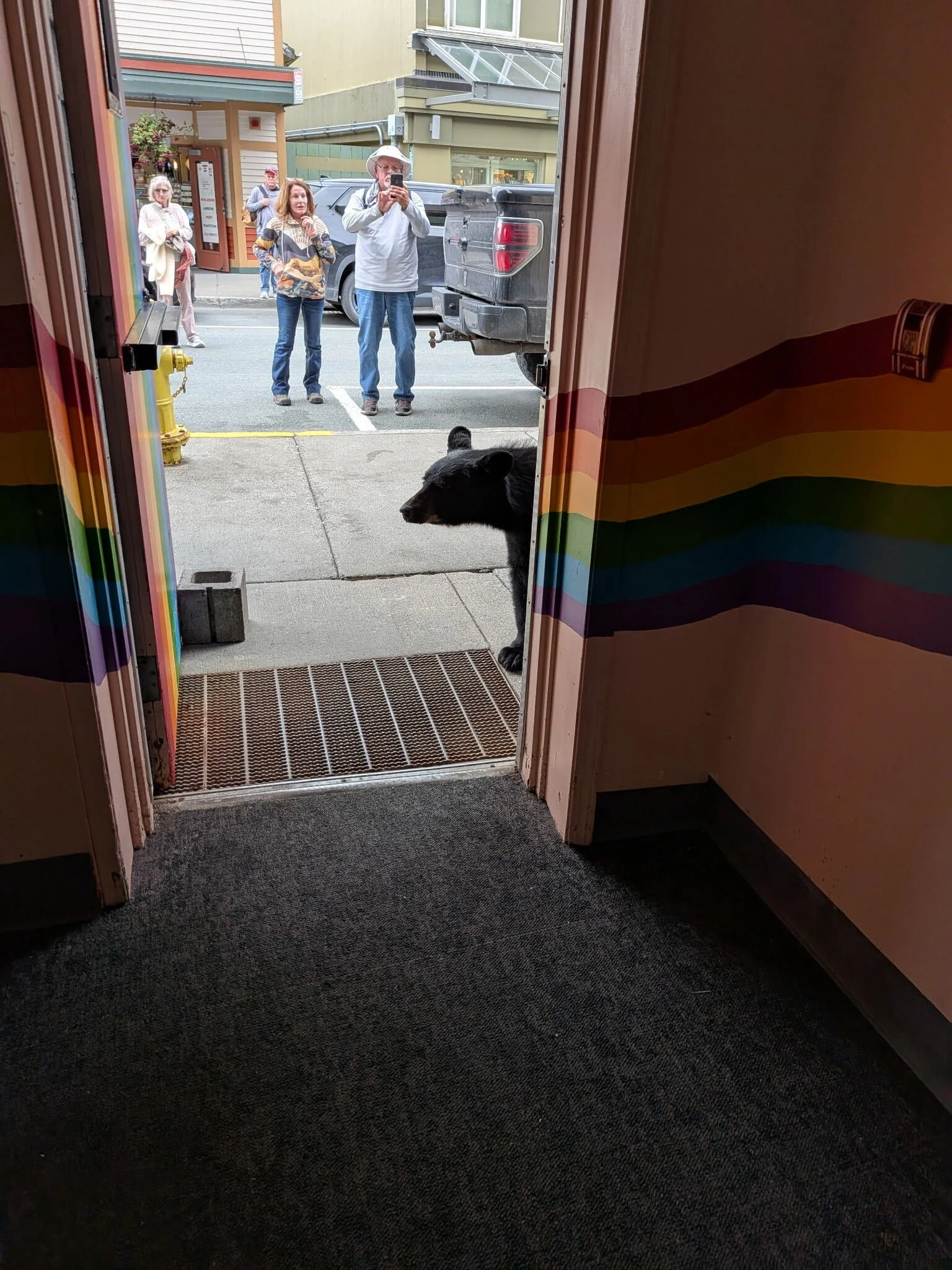 Black bear in the doorway of Jellyfish Donuts in Juneau, Alaska