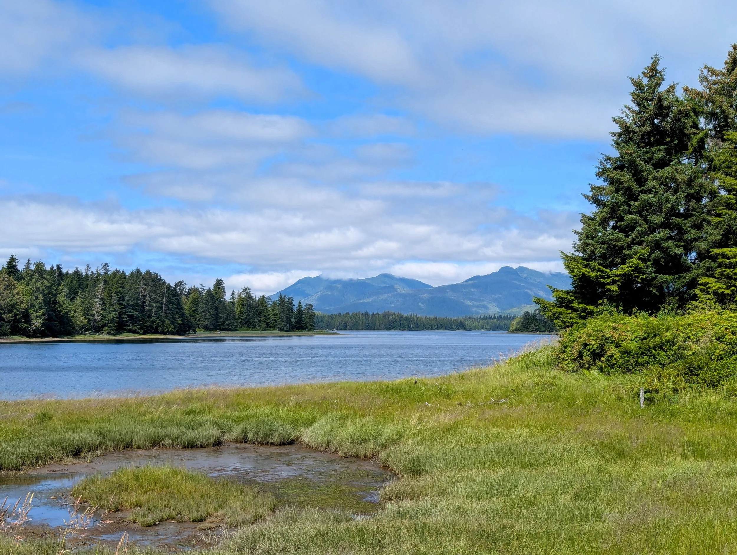 Blue skies, mountain range, and pine trees on an inlet in Klawock