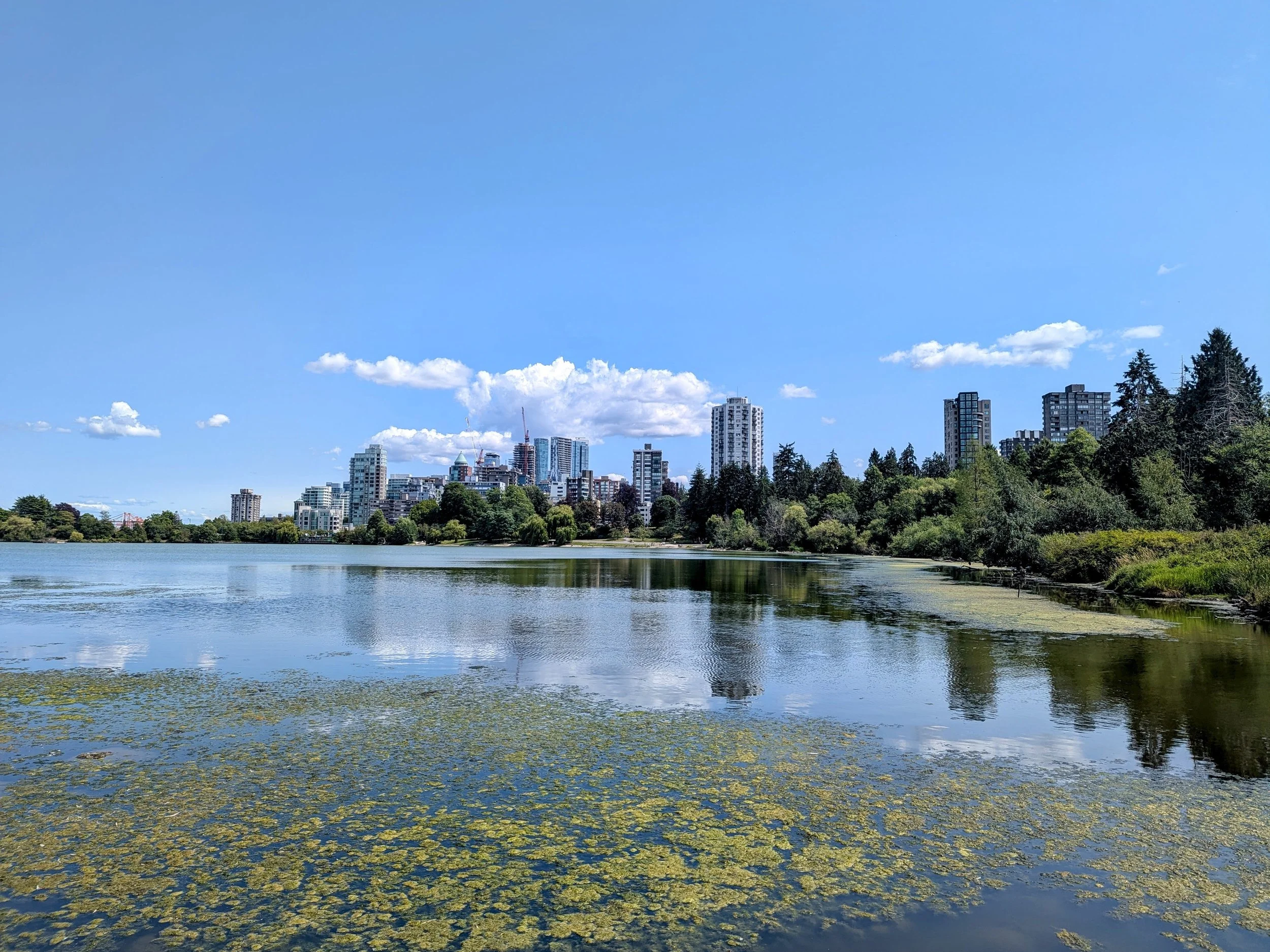 A view of the Vancouver skyline from across Lost Lagoon