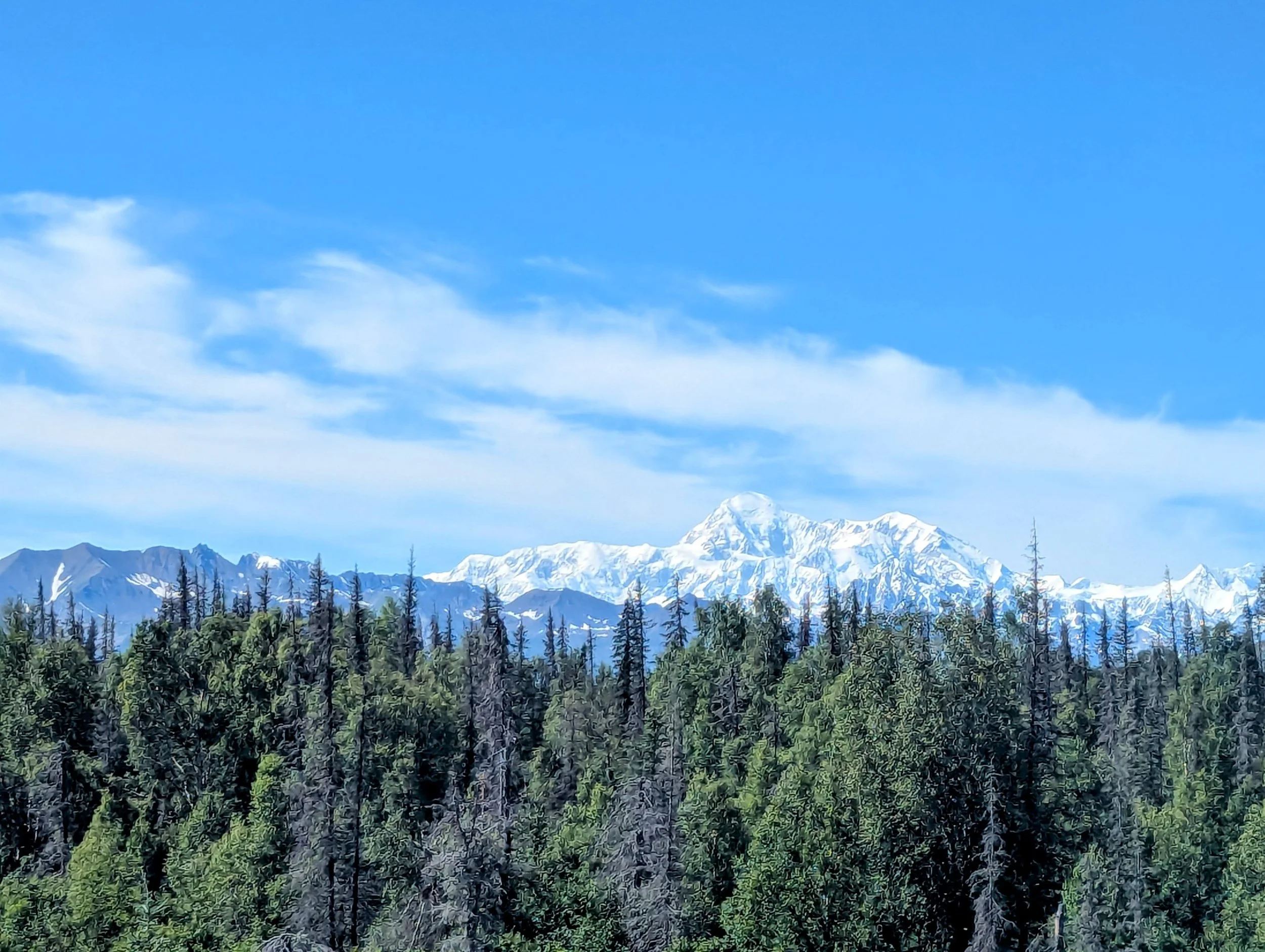 A view of the Alaska Range, including Denali, from the Denali Star