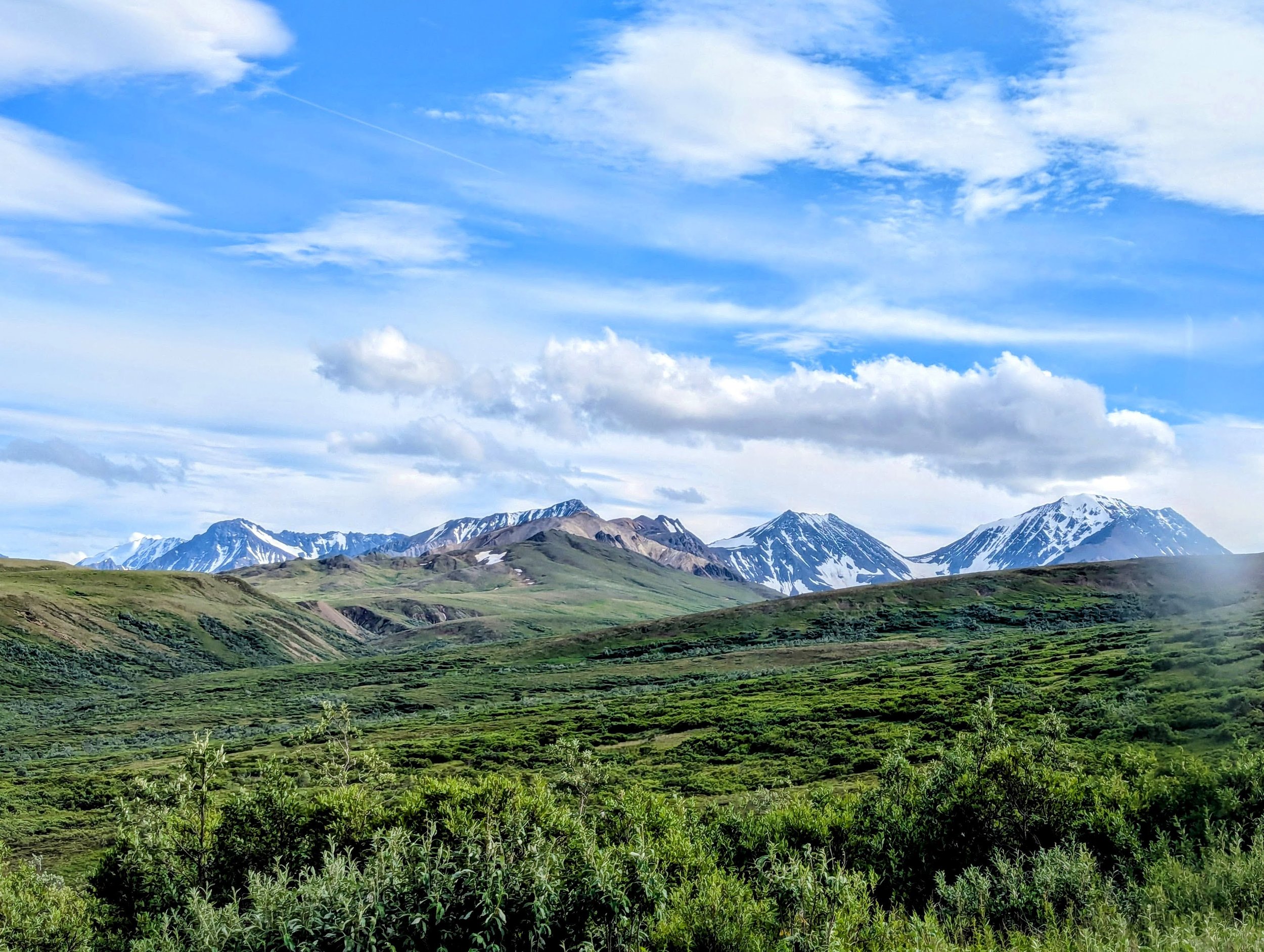 Vast Alaska wilderness landscape showing Denali National Park tundra and mountain scenery