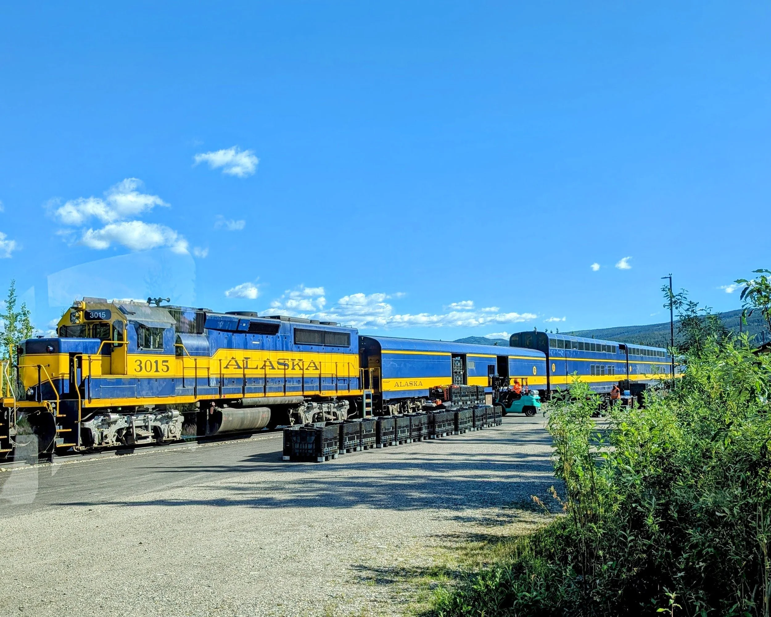 Alaska Railroad with dome cars visible, stopped at the Denali station