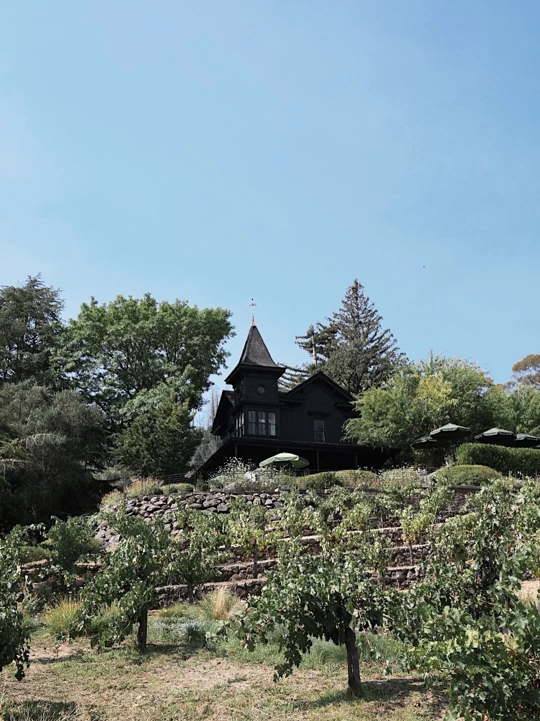 If this hasn&rsquo;t been your view lately, it&rsquo;s time to change that 🍇 ✨ escape awaits