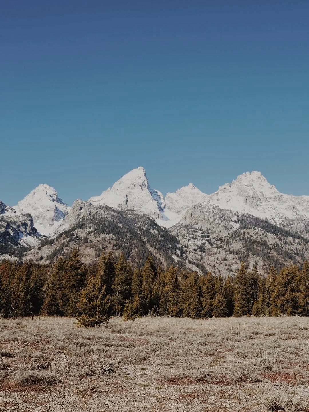 The answer is yes, you should book a trip to Wyoming 🏔️ #traveler #fora