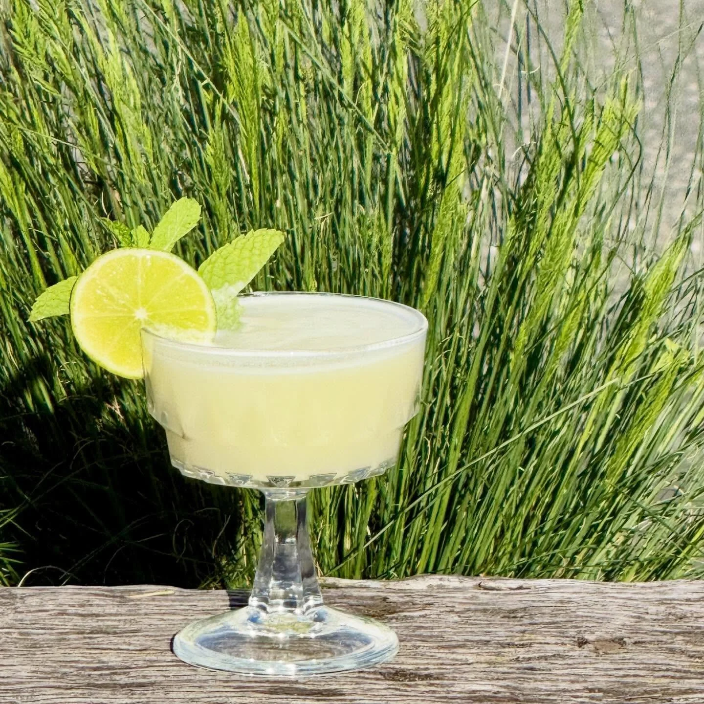 The Diving Girl 🍍
House-infused pineapple rum, pineapple juice, coconut and lime