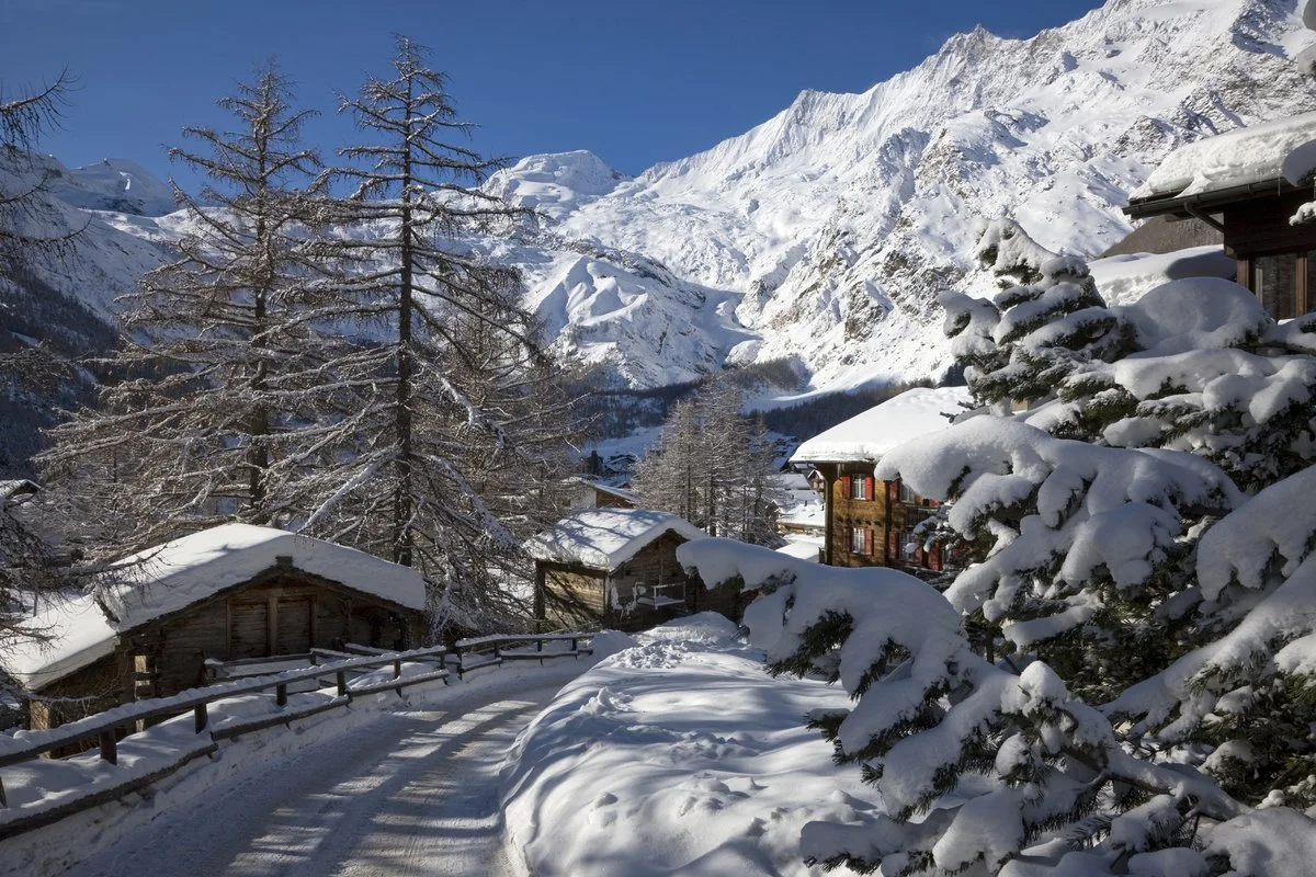 Snow-covered Saas-Fee mountain village with chalet-style houses, tall snow-laden pine trees, and a mountain backdrop under a clear blue sky.