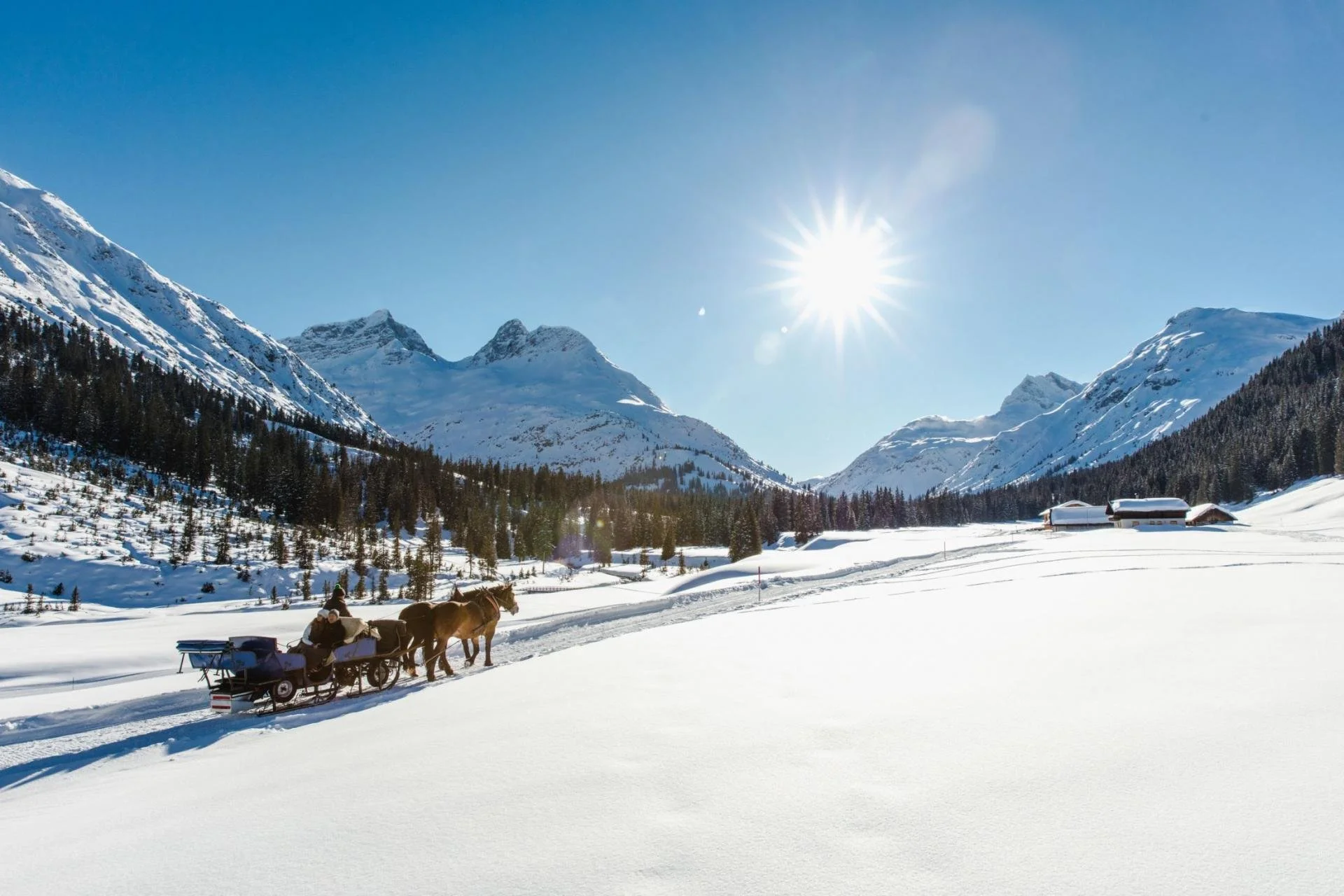 A horse-drawn sleigh traveling through snow-covered landscape in Lech with mountains and pine trees under a bright sun.