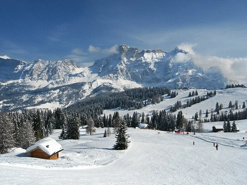 Snow-covered mountains with a clear blue sky, pine trees, and small wooden cabins in a winter landscape.