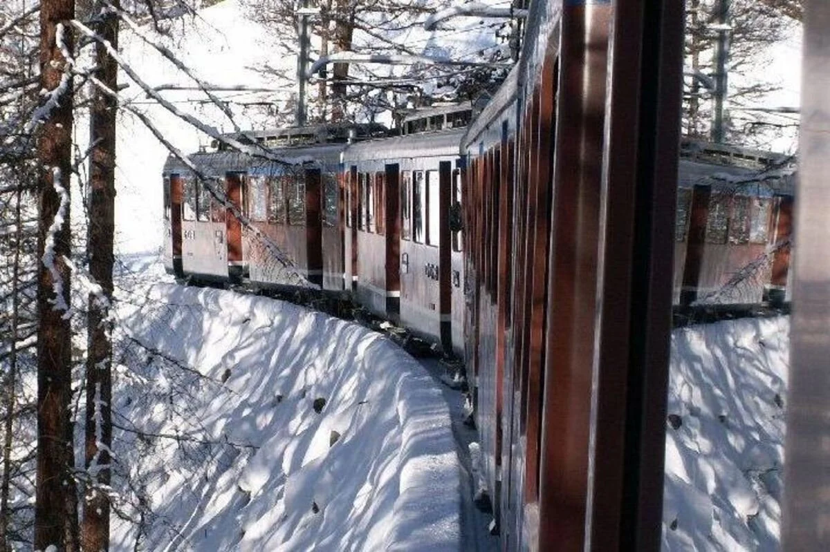 A train traveling through a snowy, forested landscape in Zermatt with tall trees and snow-covered ground.