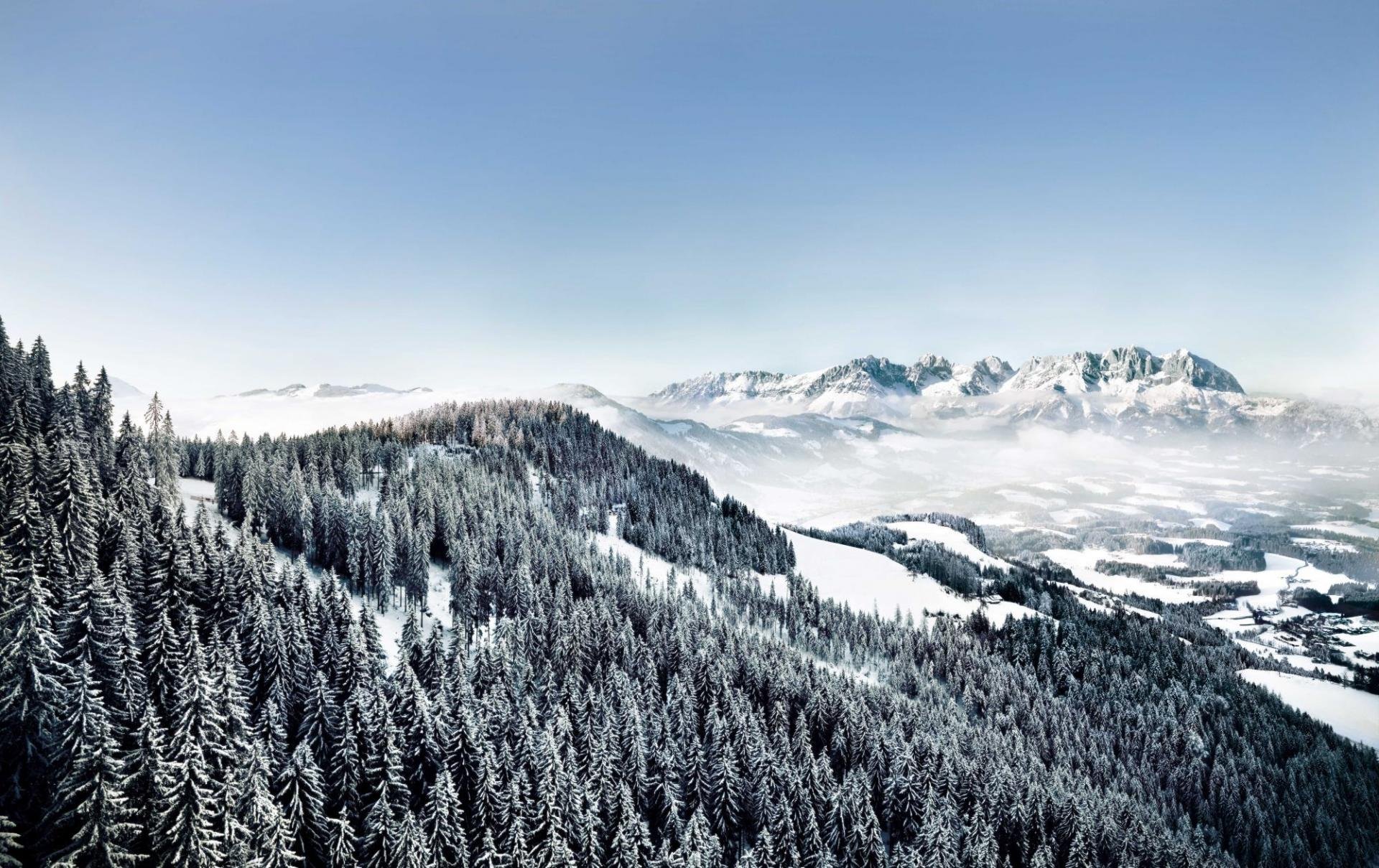 Snow-covered pine trees on a hillside in Kitzbuhel with distant mountain peaks under a clear blue sky.