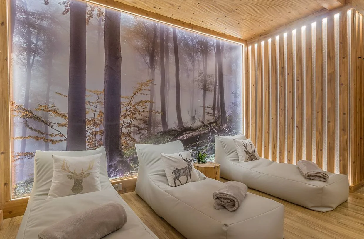Bio Chalet Teola - Spa 4.jpg