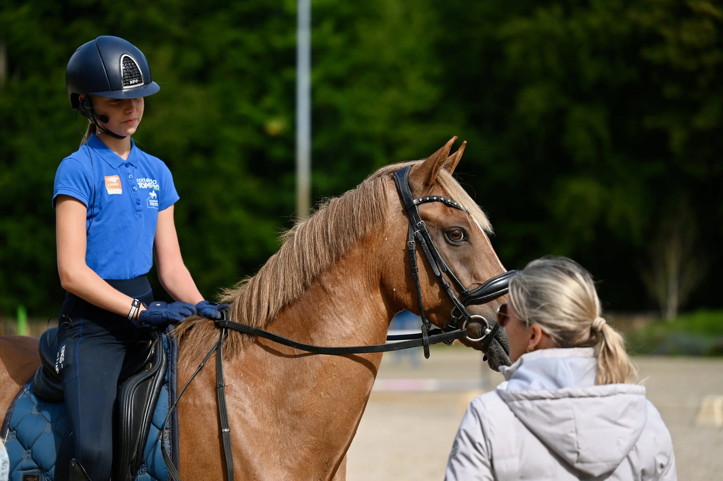 Talententeam 2026 trainingsschema dressuur