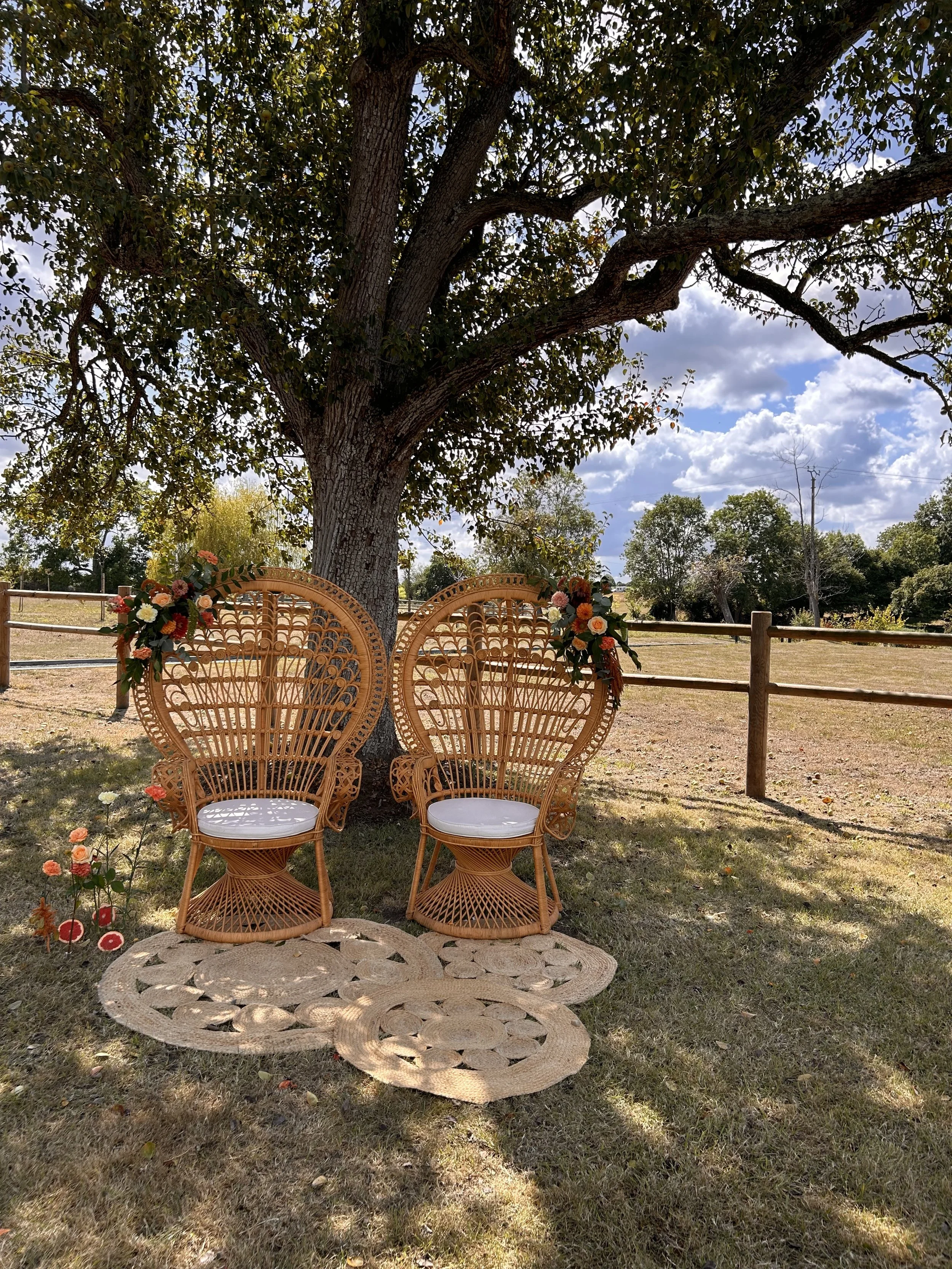 fauteuils Emmanuelle.jpeg