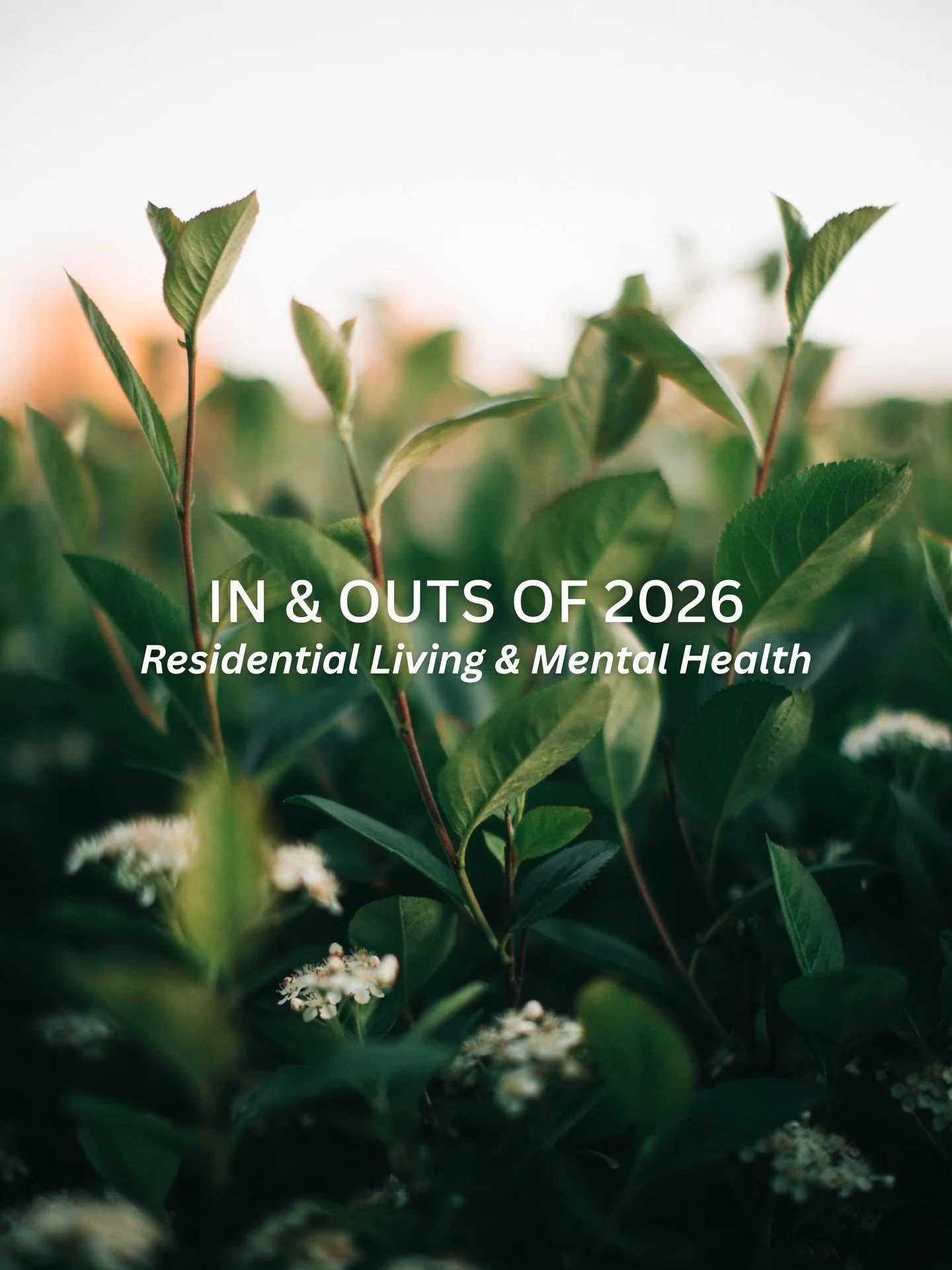 Our 2026 goals remain the same as the day we opened our doors &mdash; and they always will.

Lasting mental health support comes from consistent, safe, and supportive spaces where people can thrive at their own pace.

#mentalhealth #support #insandou
