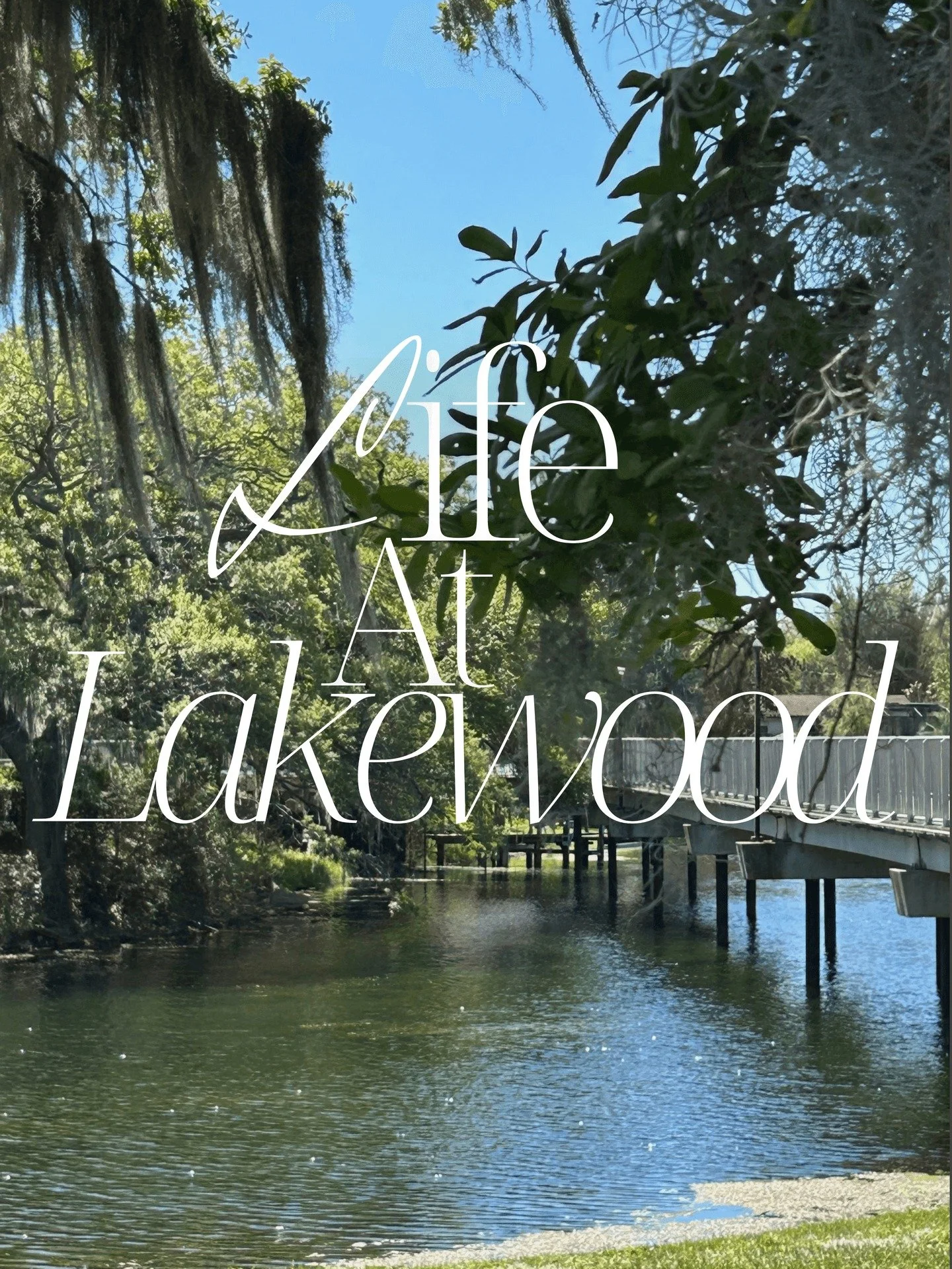 Life at Lakewood this week:

🎨 Residents visited the Mennello Art Museum, exploring art and culture right here in our community
🌿 Apopka Wildlife Drive adventure, and Kichi came along for the ride

This is what stability creates space for: art muse
