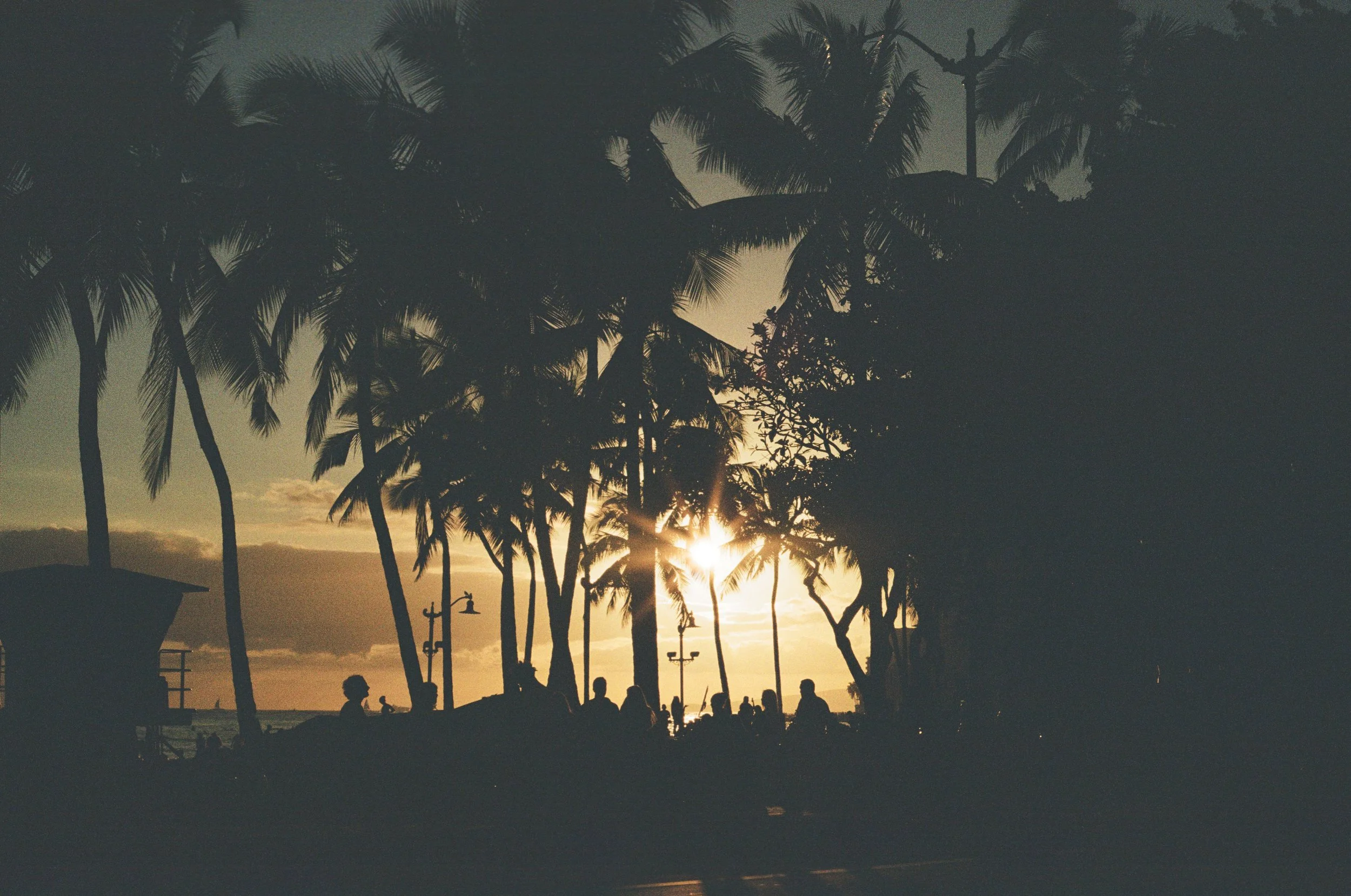 Silhouettes of palm trees and people on a beach at sunset with a partly cloudy sky.