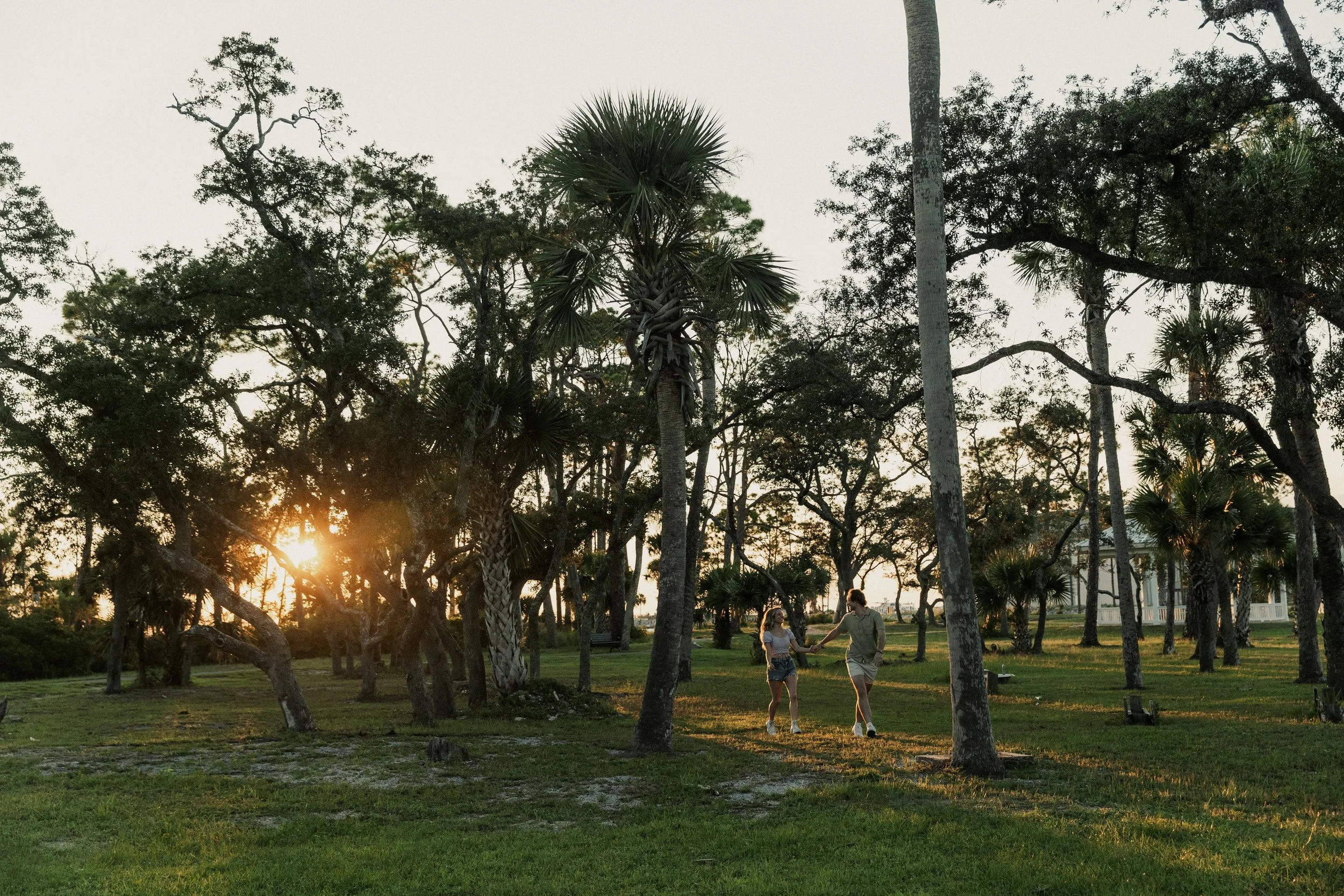 A park scene during sunset with tall trees and two people holding hands walking on the grass.