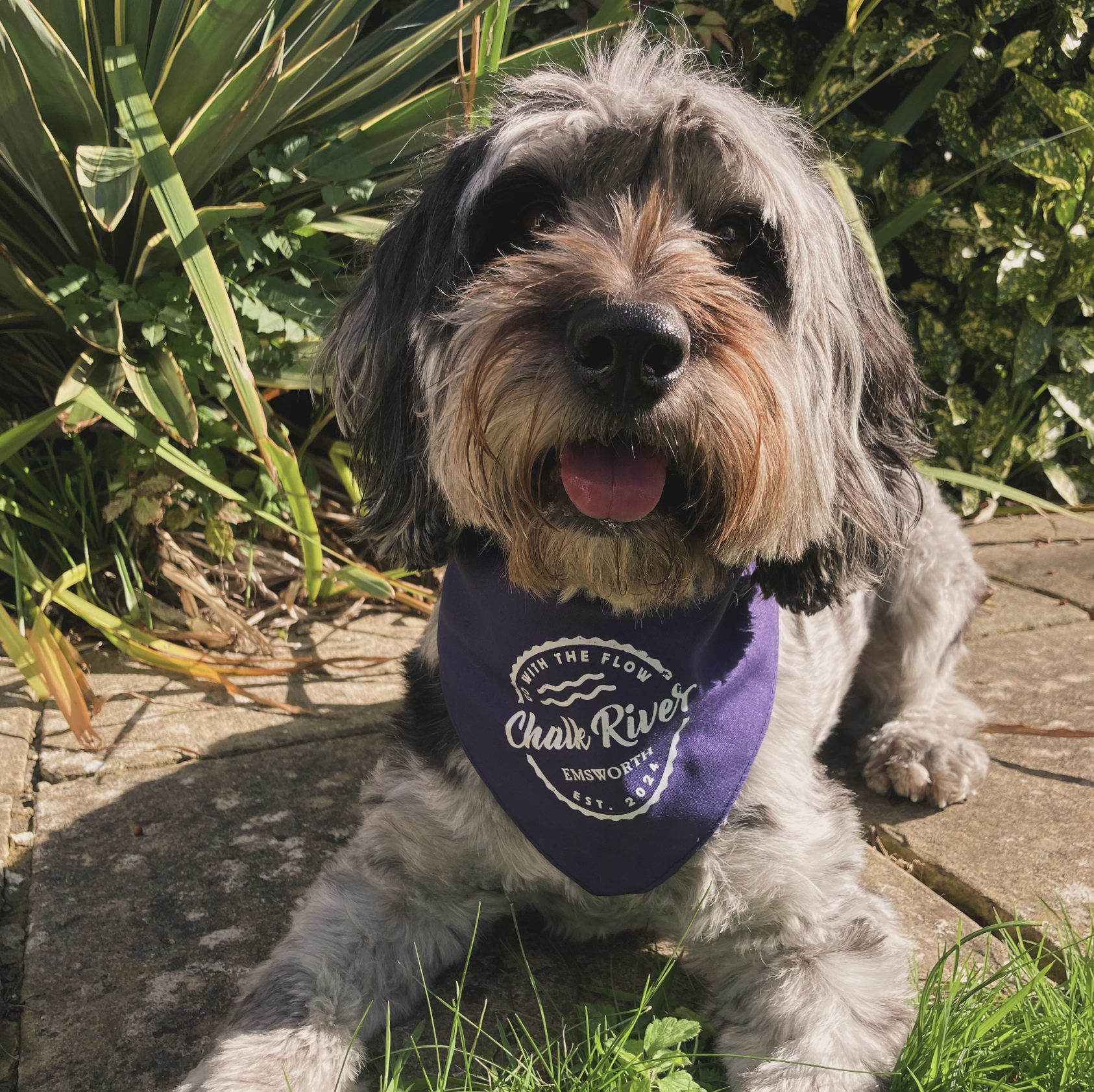 Chalk River Willow.png