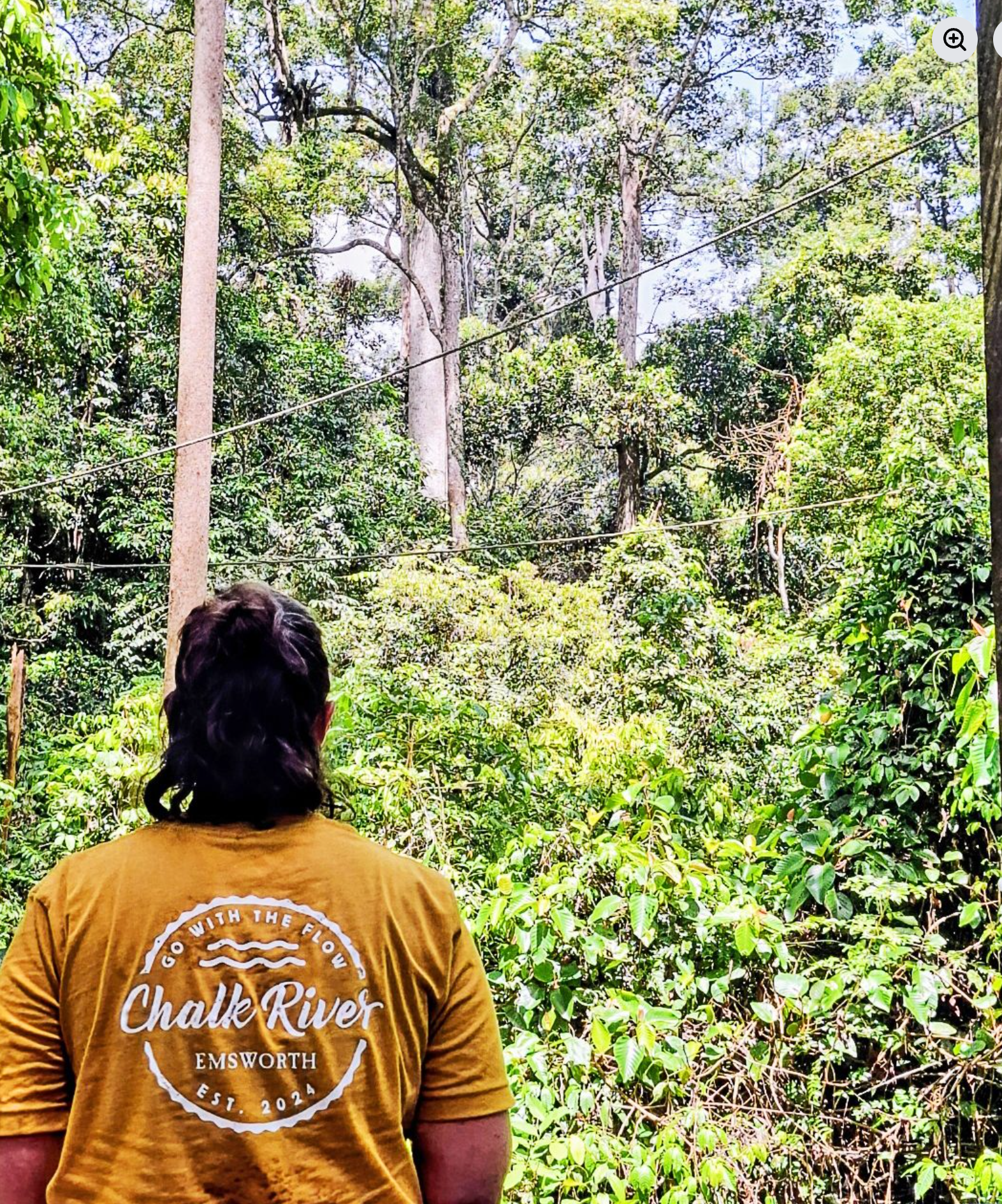 Chalk River TShirt Jungle.png