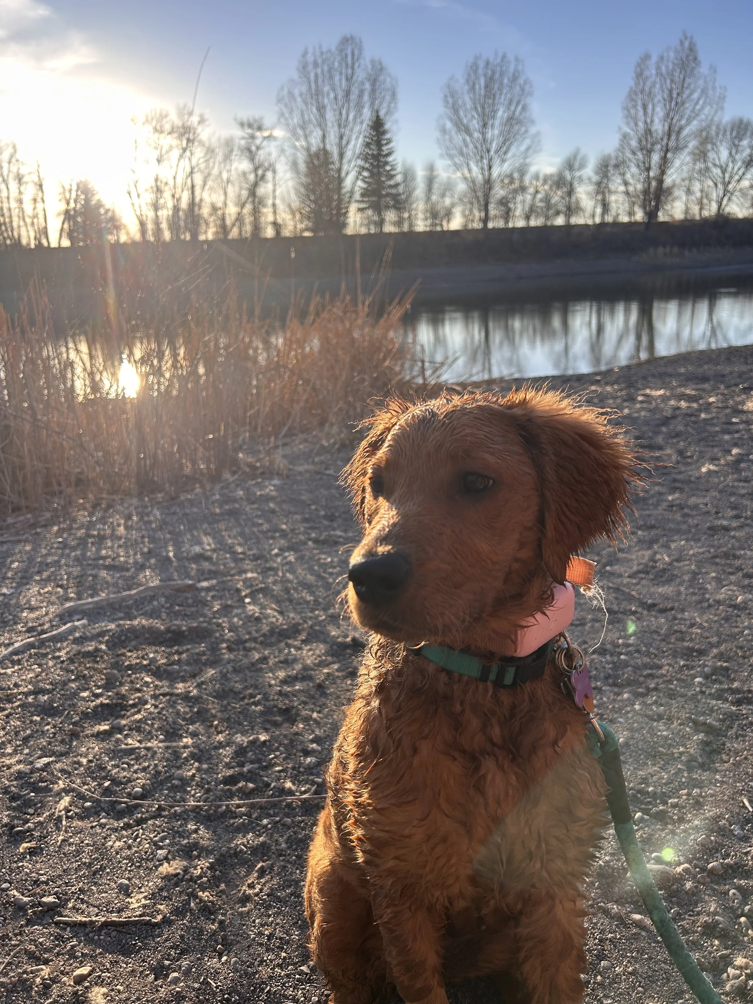 IMG_6485.jpeg