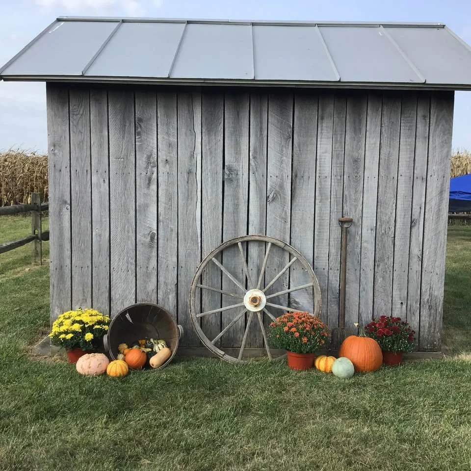Autumn Abundance At Harvey One Room School House