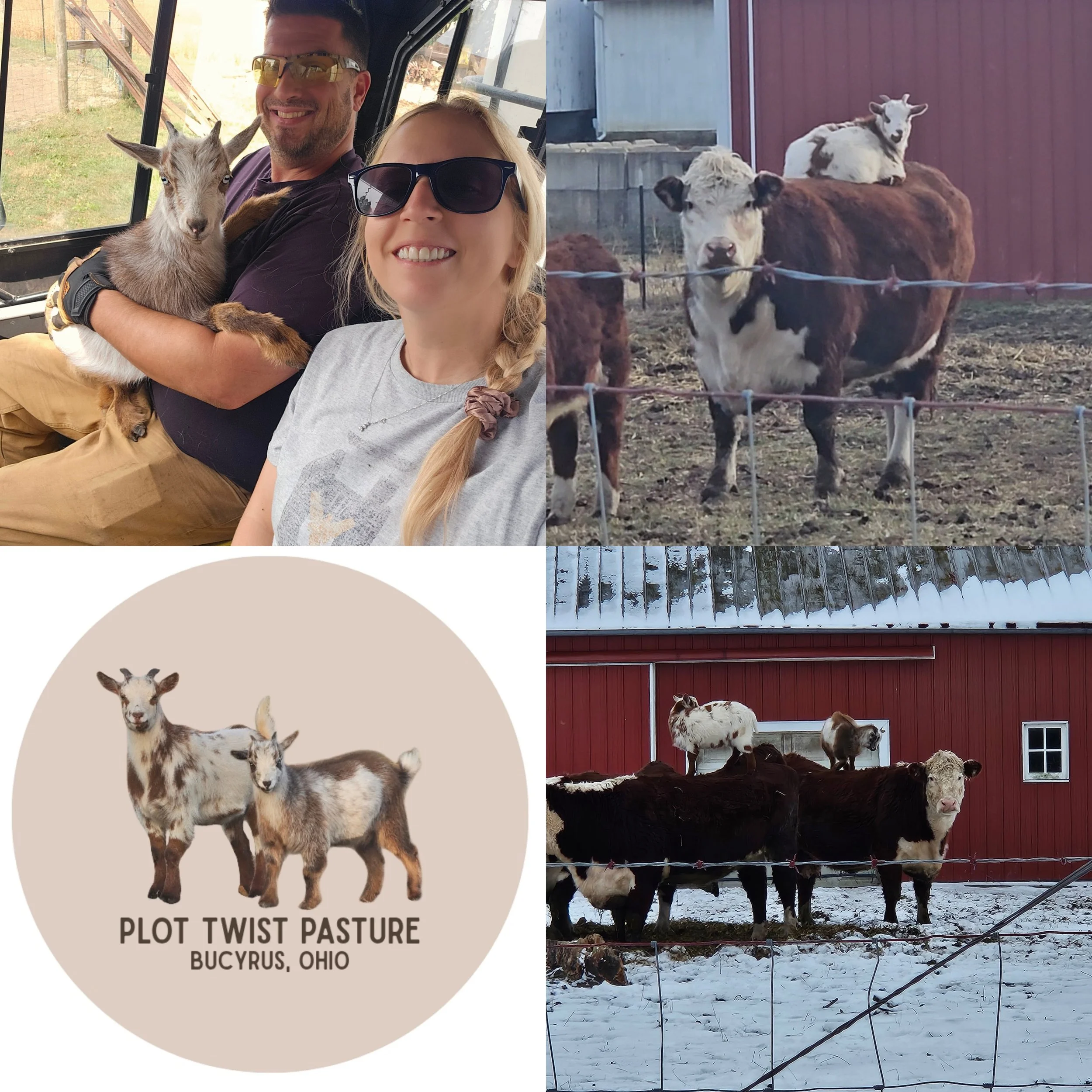 Scribbles from The Quill🪶