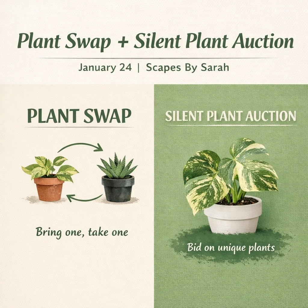 Plant Swap & Silent Plant Auction