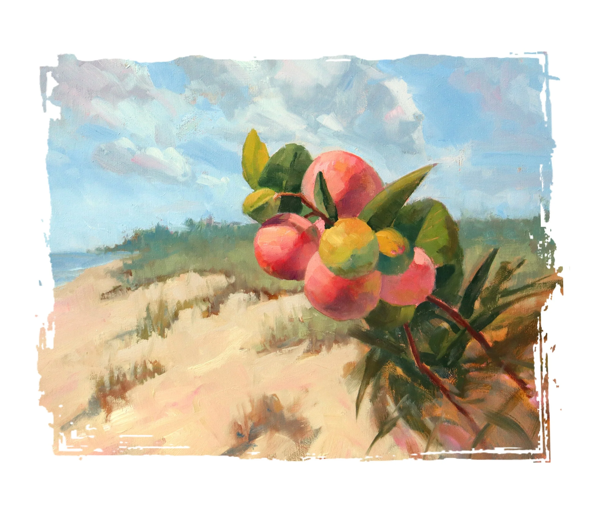 Horizontal cocoplum- cocoplum on the beach