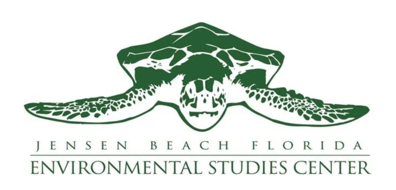 MCFNPS Impact Project- Volunteer Day!