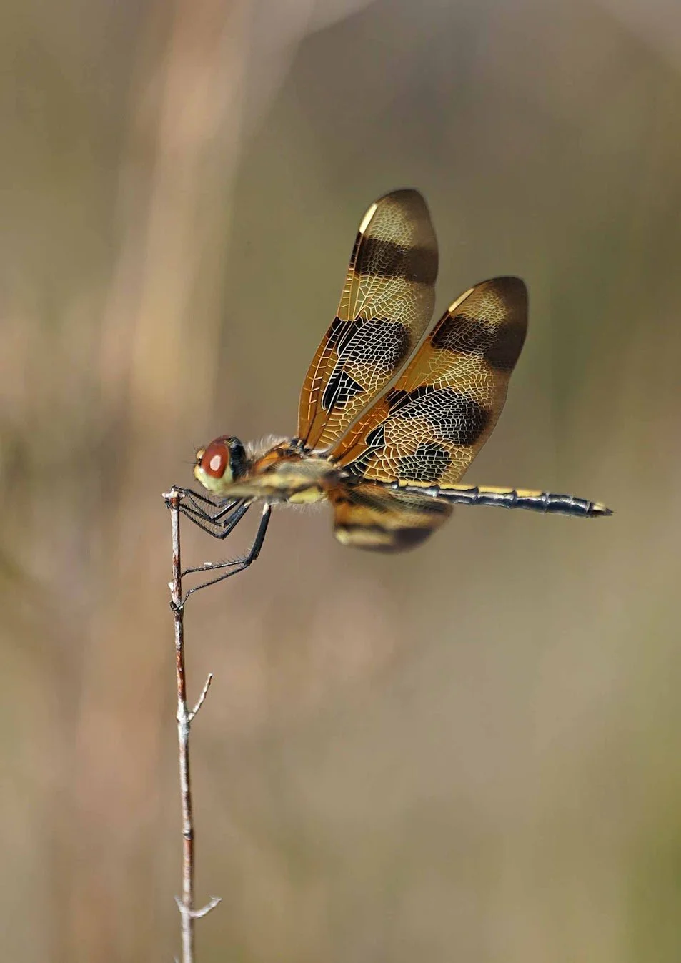 April Children's Program