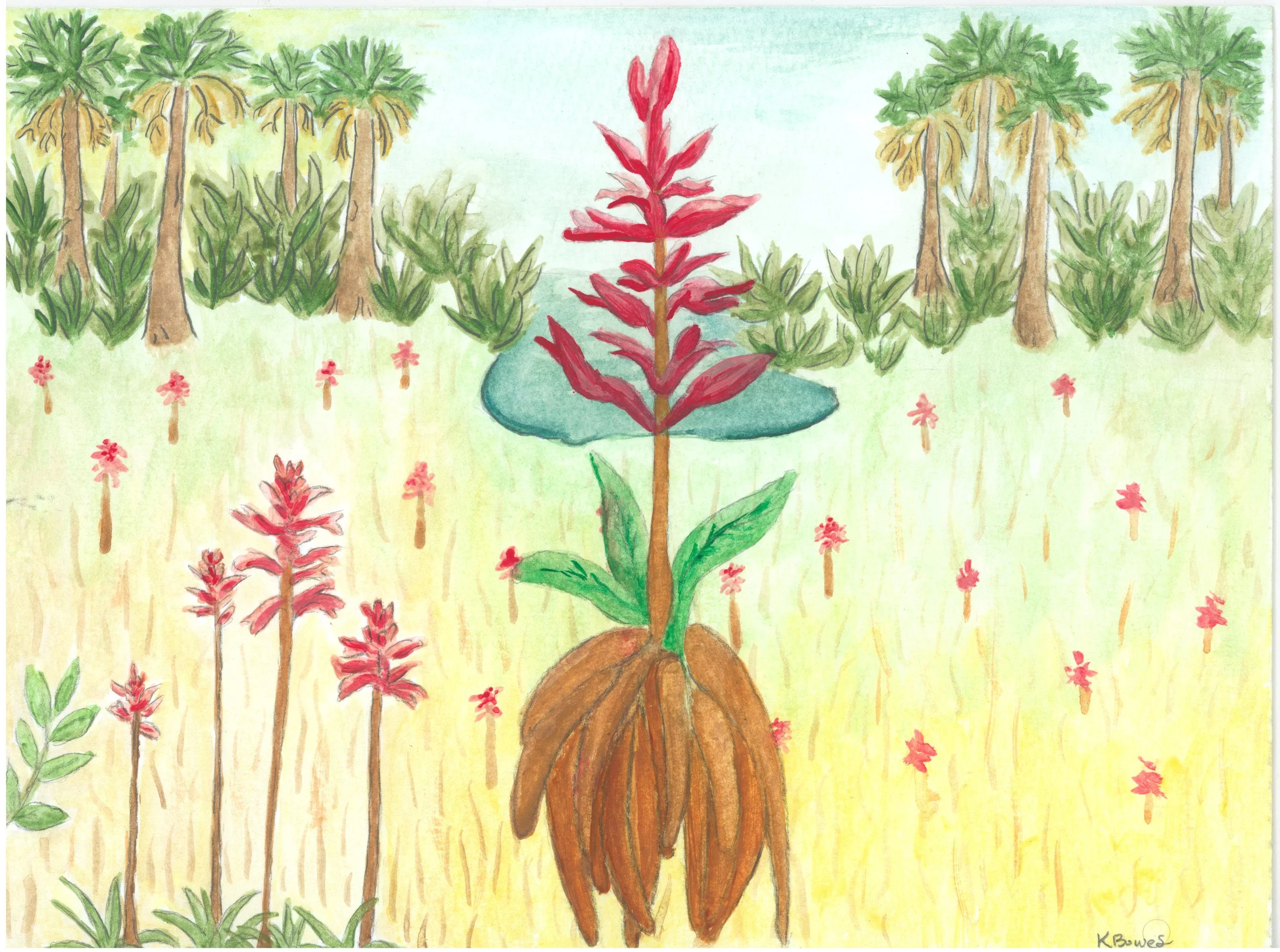 Getting Back to Our Roots 2024-2025