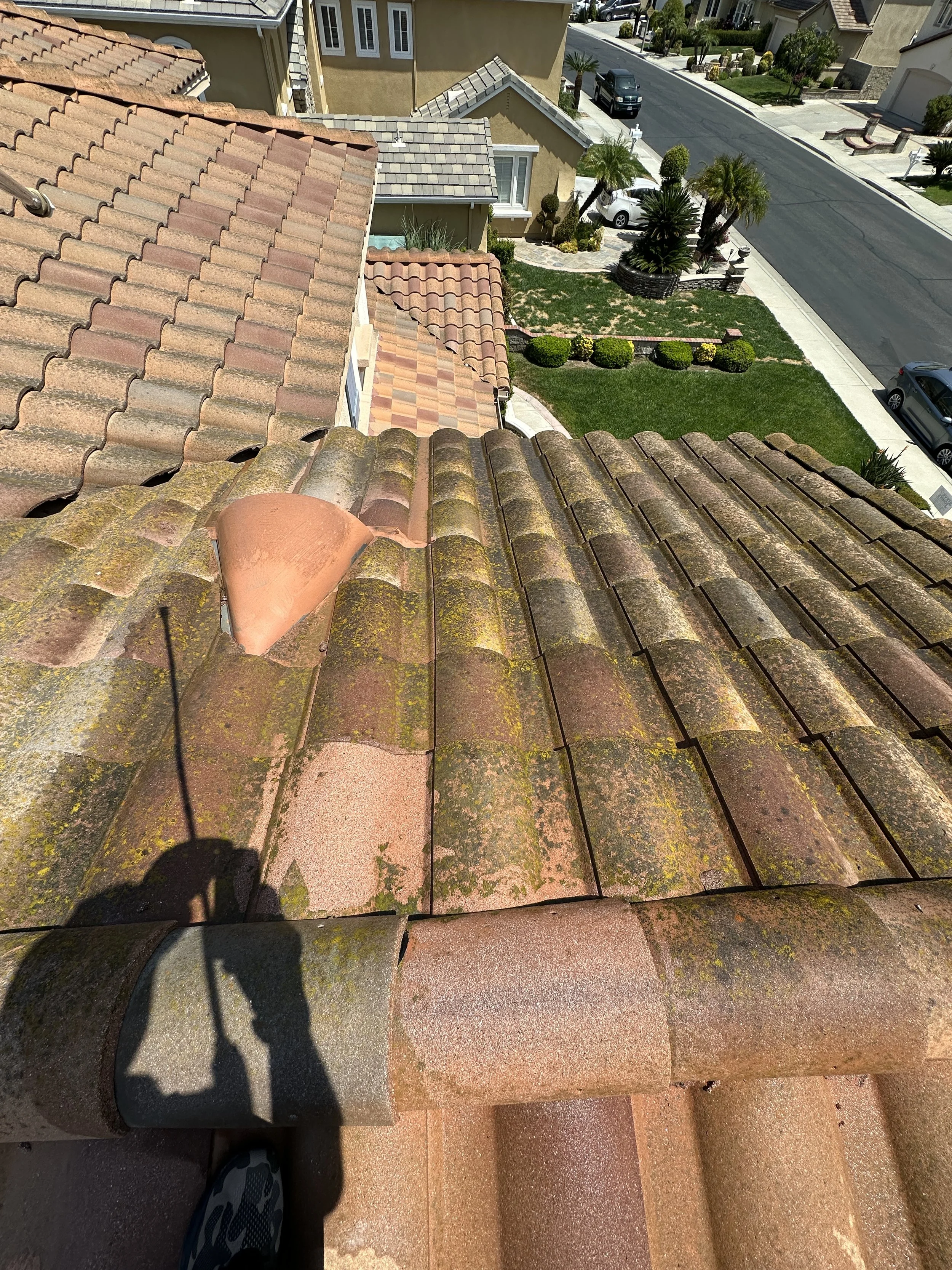 View from a rooftop showing weathered, moss-covered roof tiles, with a residential neighborhood street below, palm trees, and houses with similar tiled roofs.