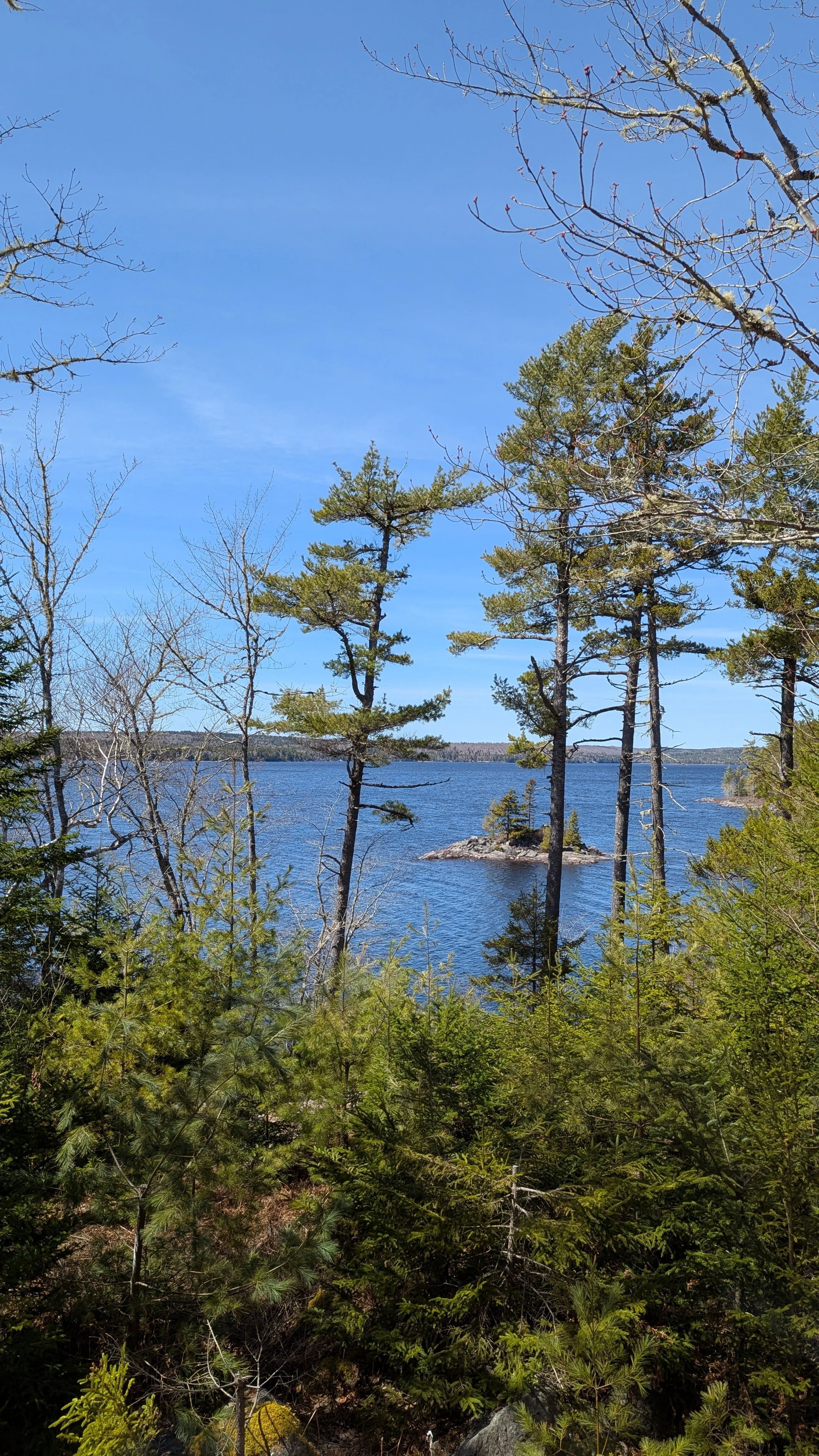 PXL_20260418_170342456.jpg