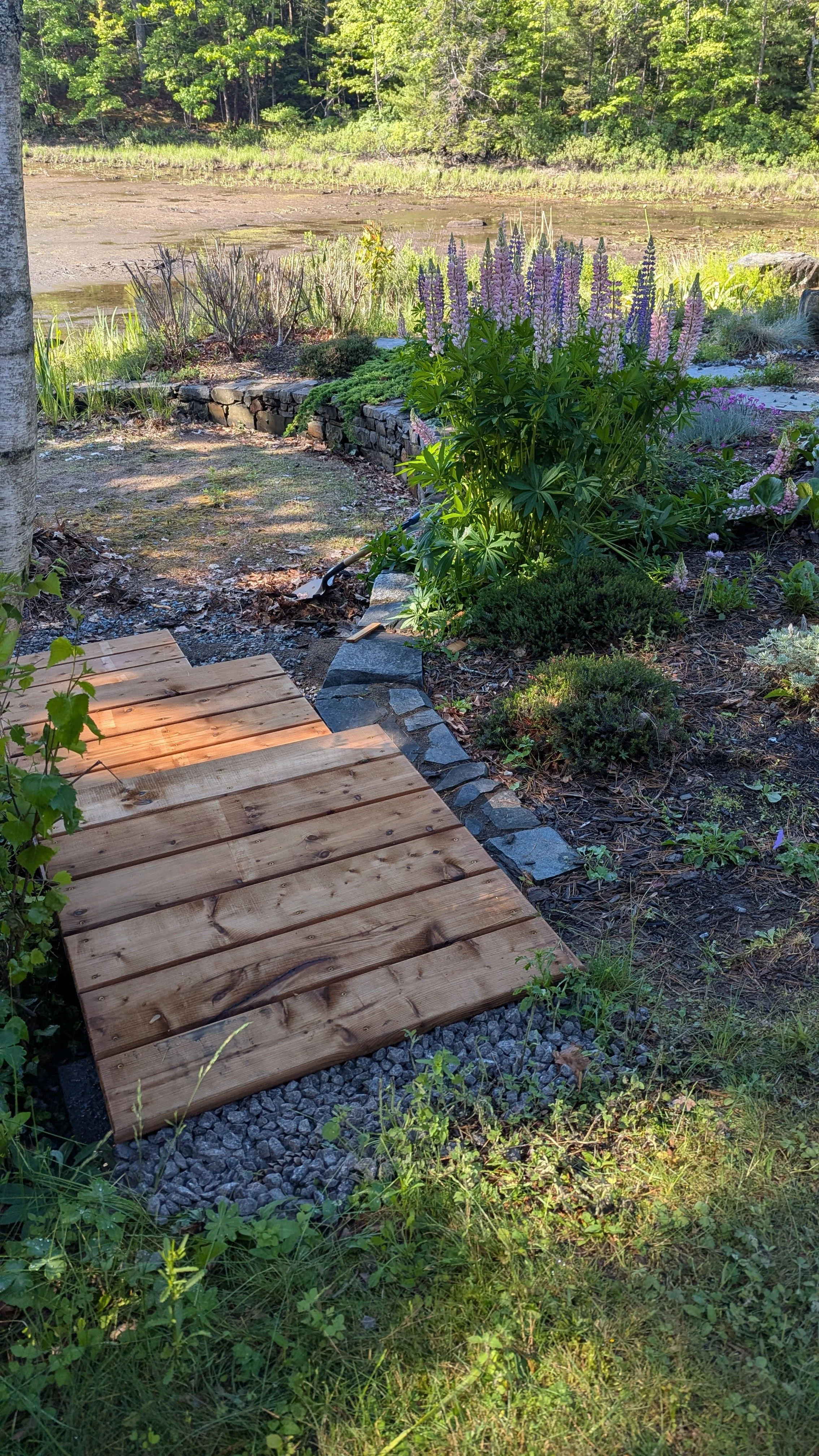 PXL_20260619_122356370.jpg