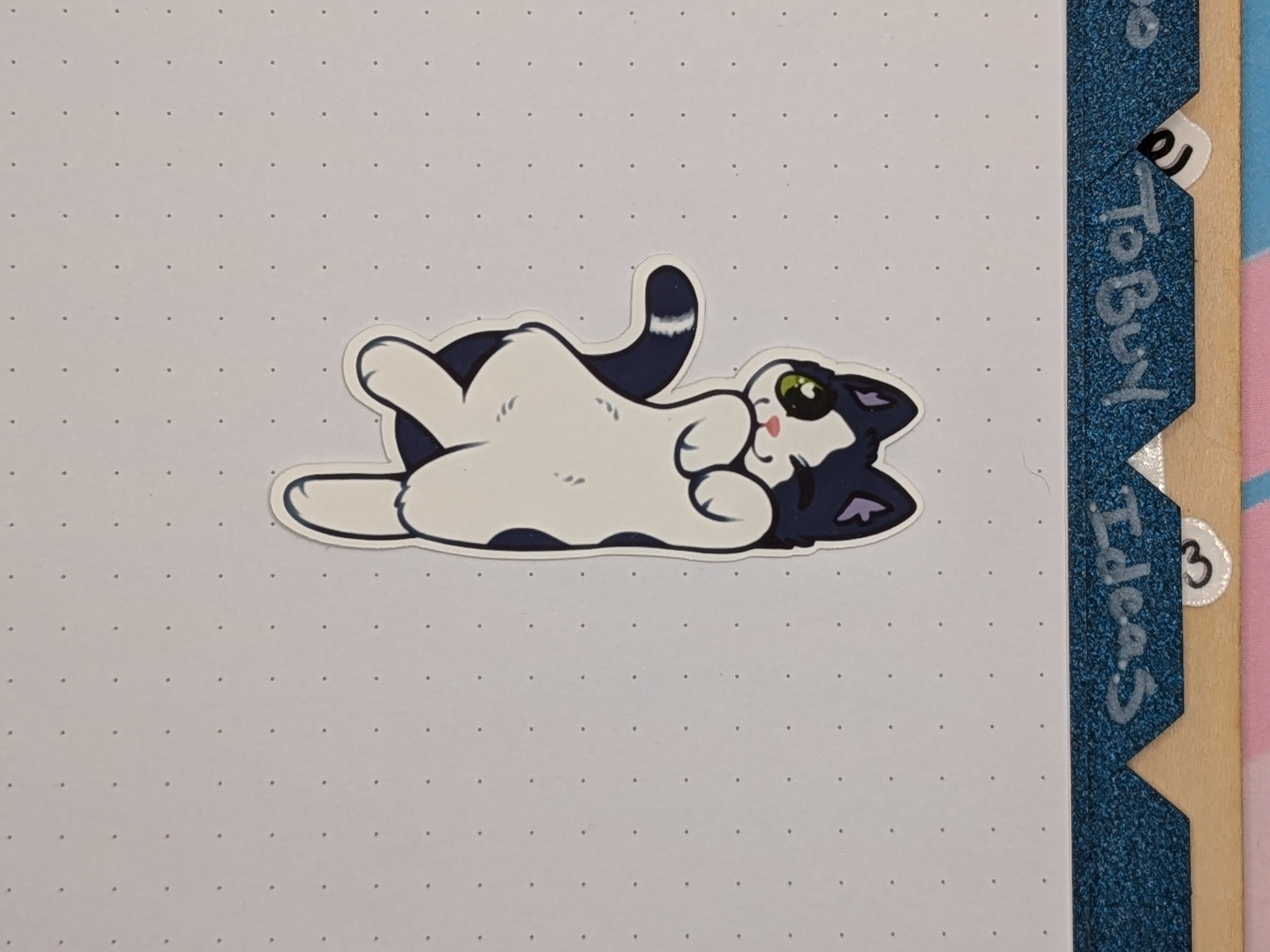 Sonic Sticker