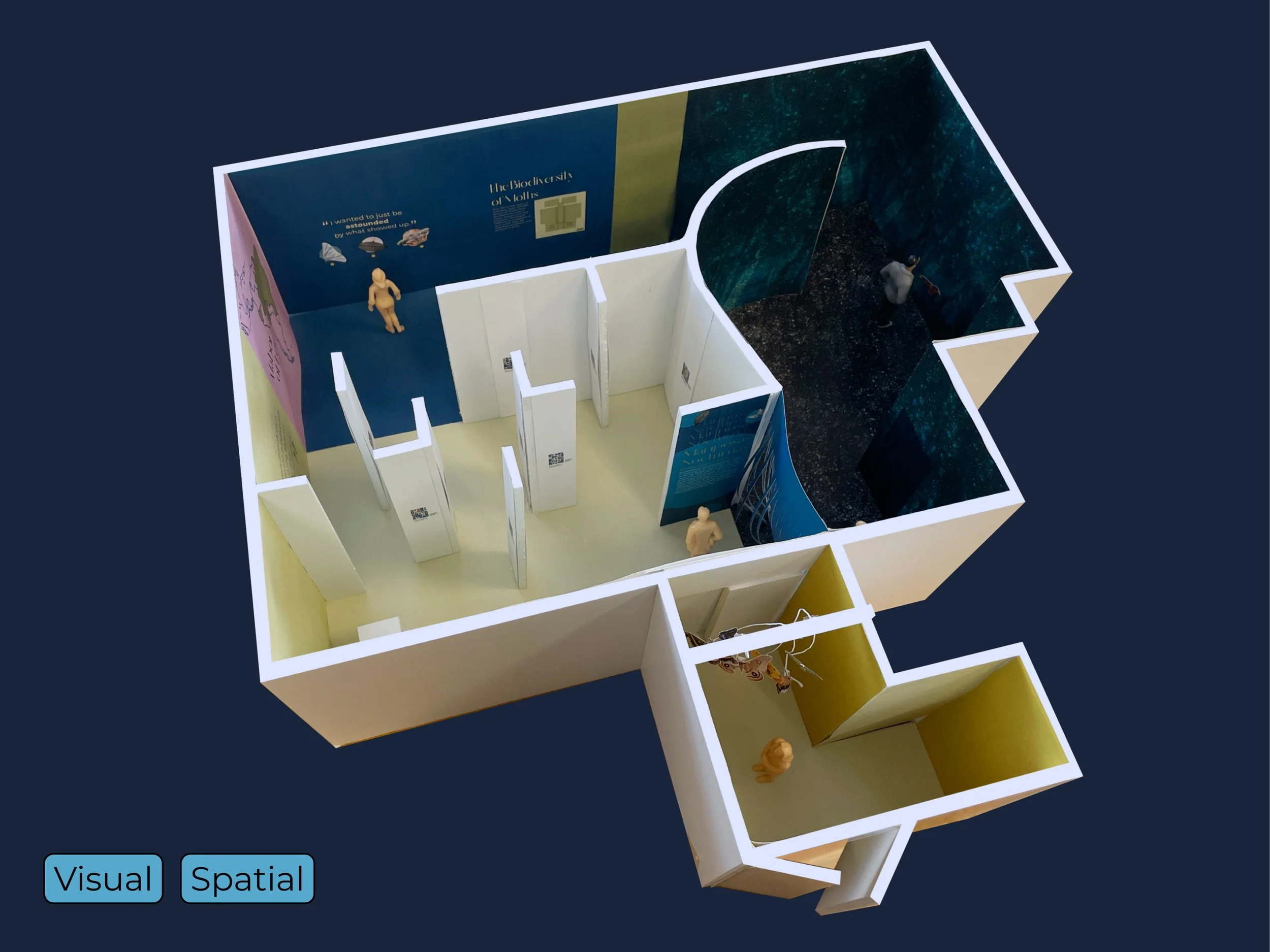 Mariposas Nocturnas Pop Up Museum