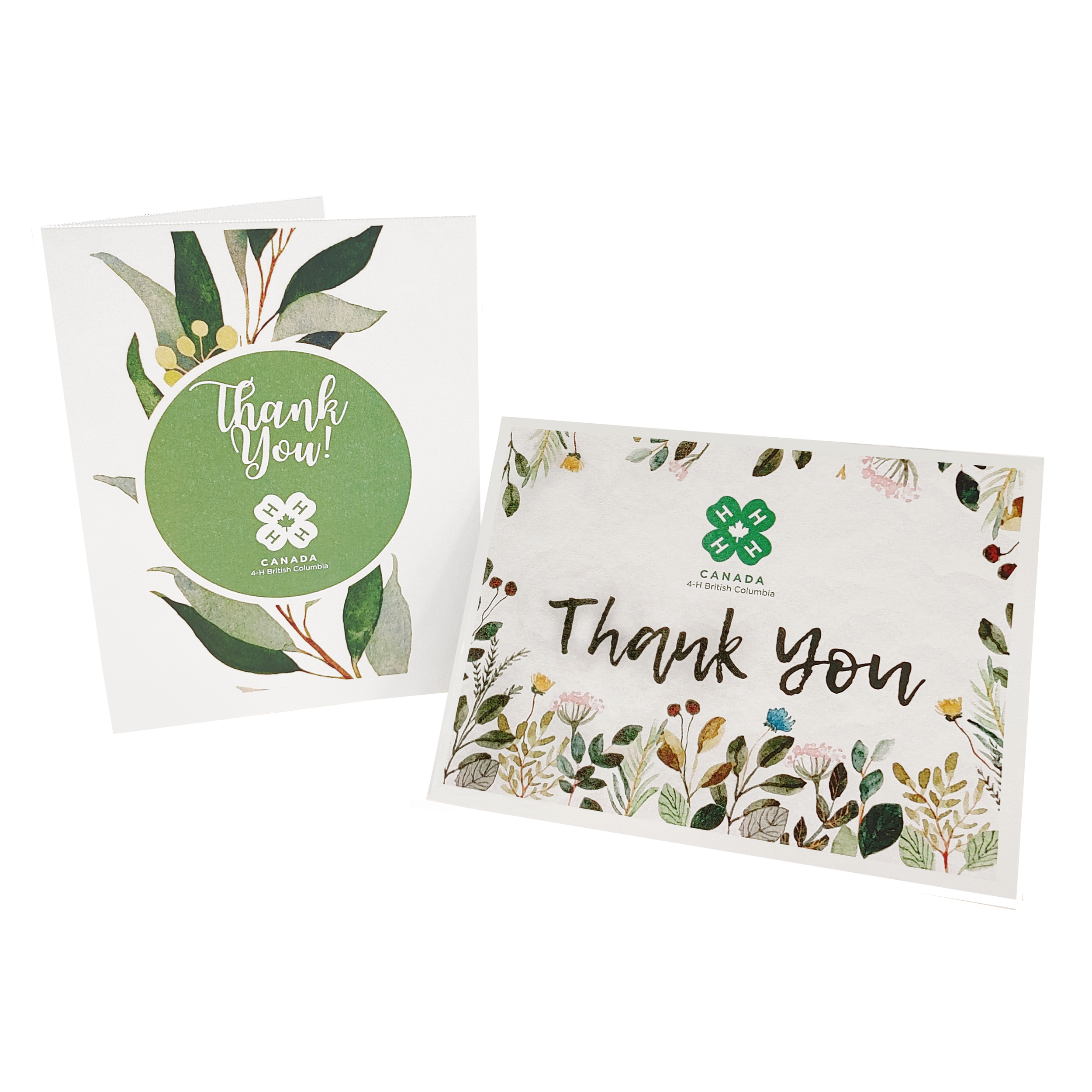 PC 22W - Watercolour Cards 2.png