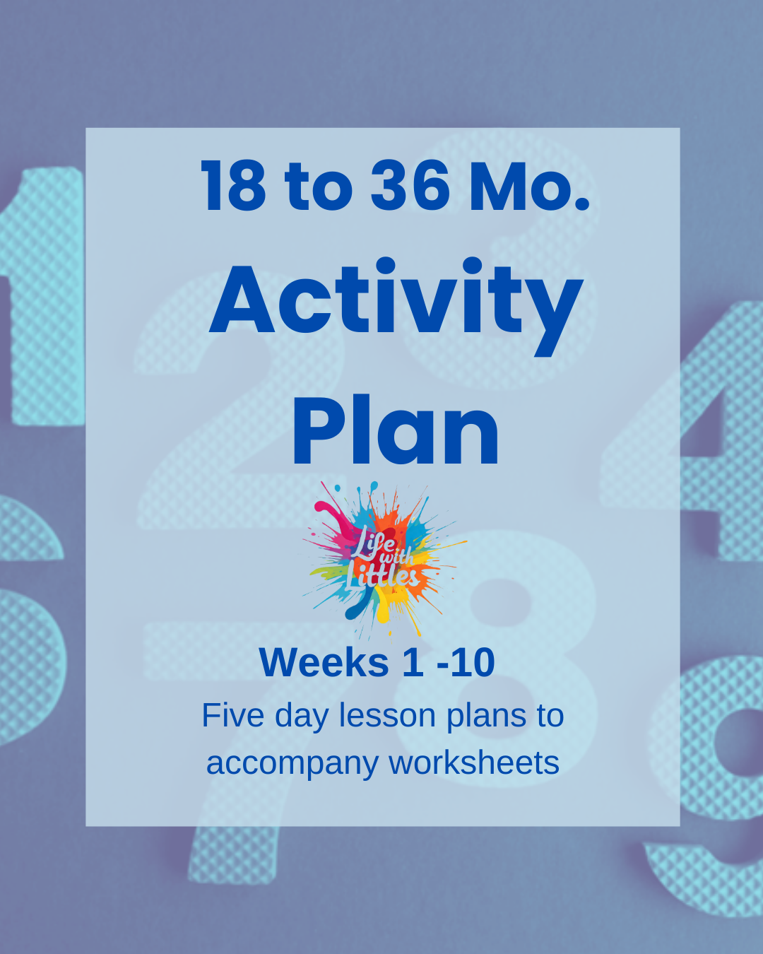 activity plan.png